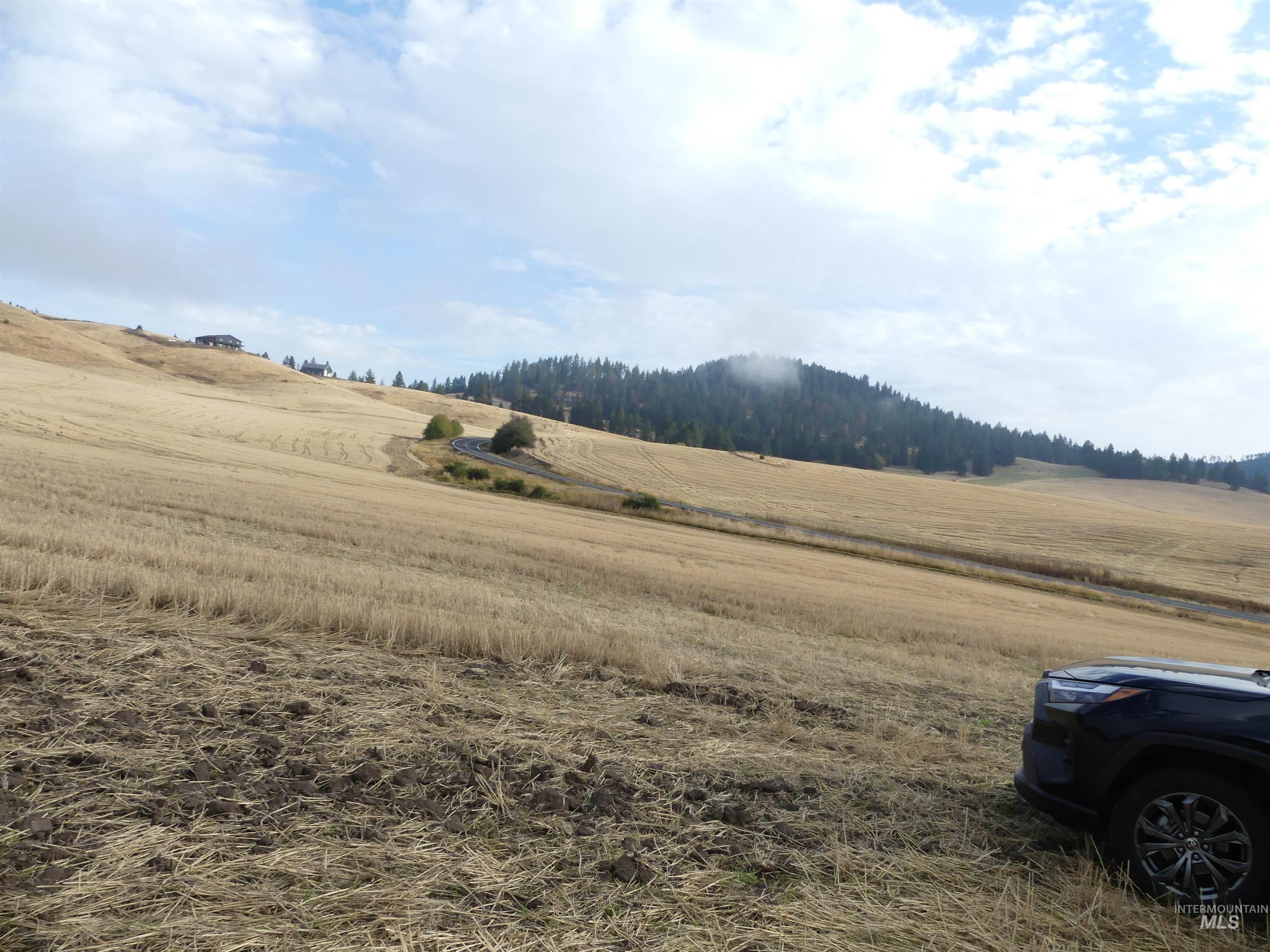 13500 CAVENDISH HWY, Kendrick, Idaho 83537, Land For Sale, Price $335,000, 99001325