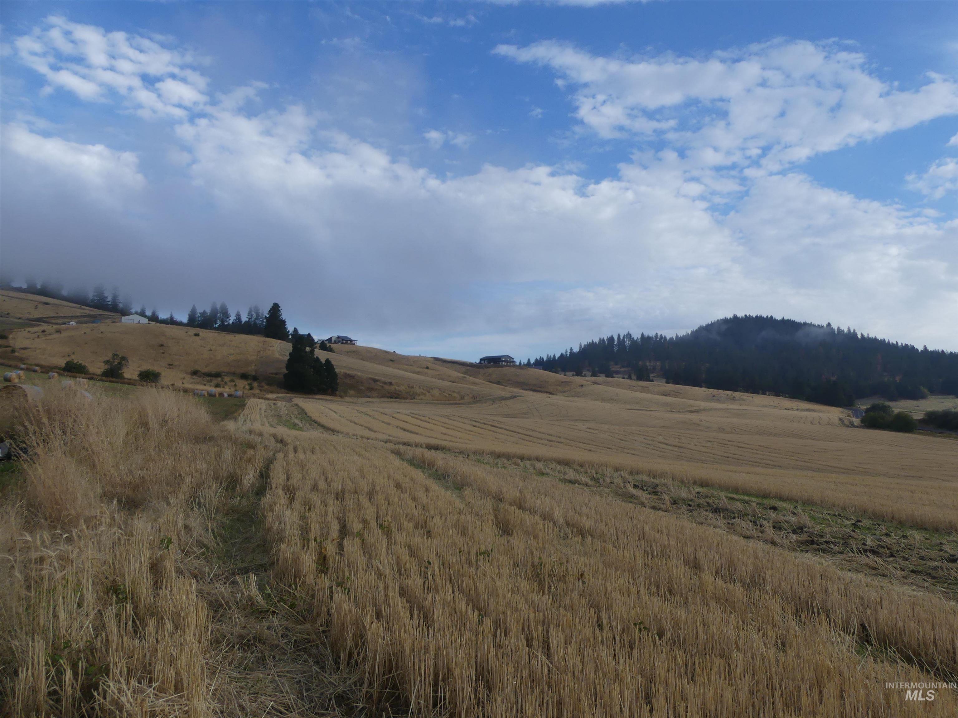 13500 CAVENDISH HWY, Kendrick, Idaho 83537, Land For Sale, Price $335,000, 99001325