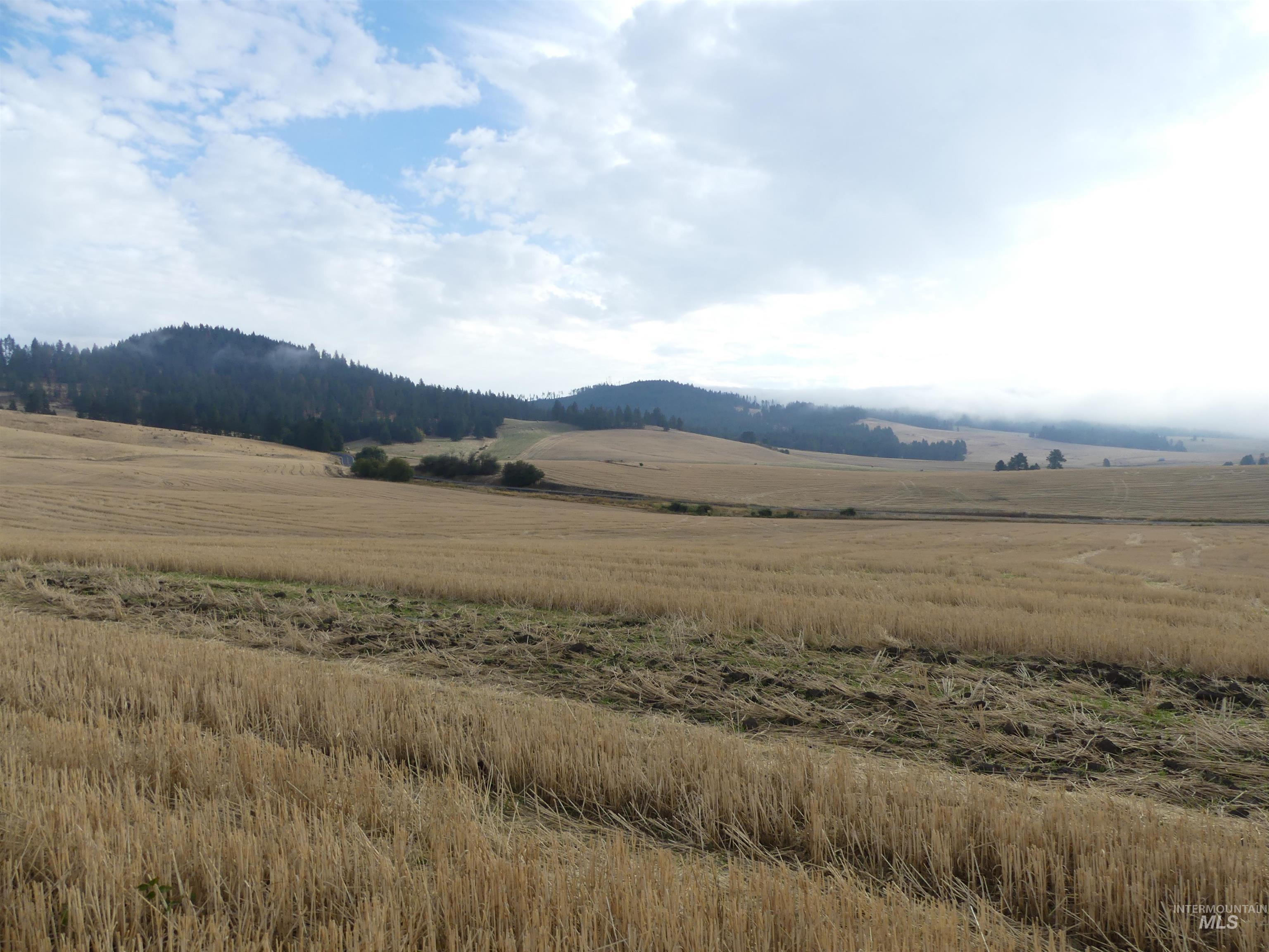 13500 CAVENDISH HWY, Kendrick, Idaho 83537, Land For Sale, Price $335,000, 99001325