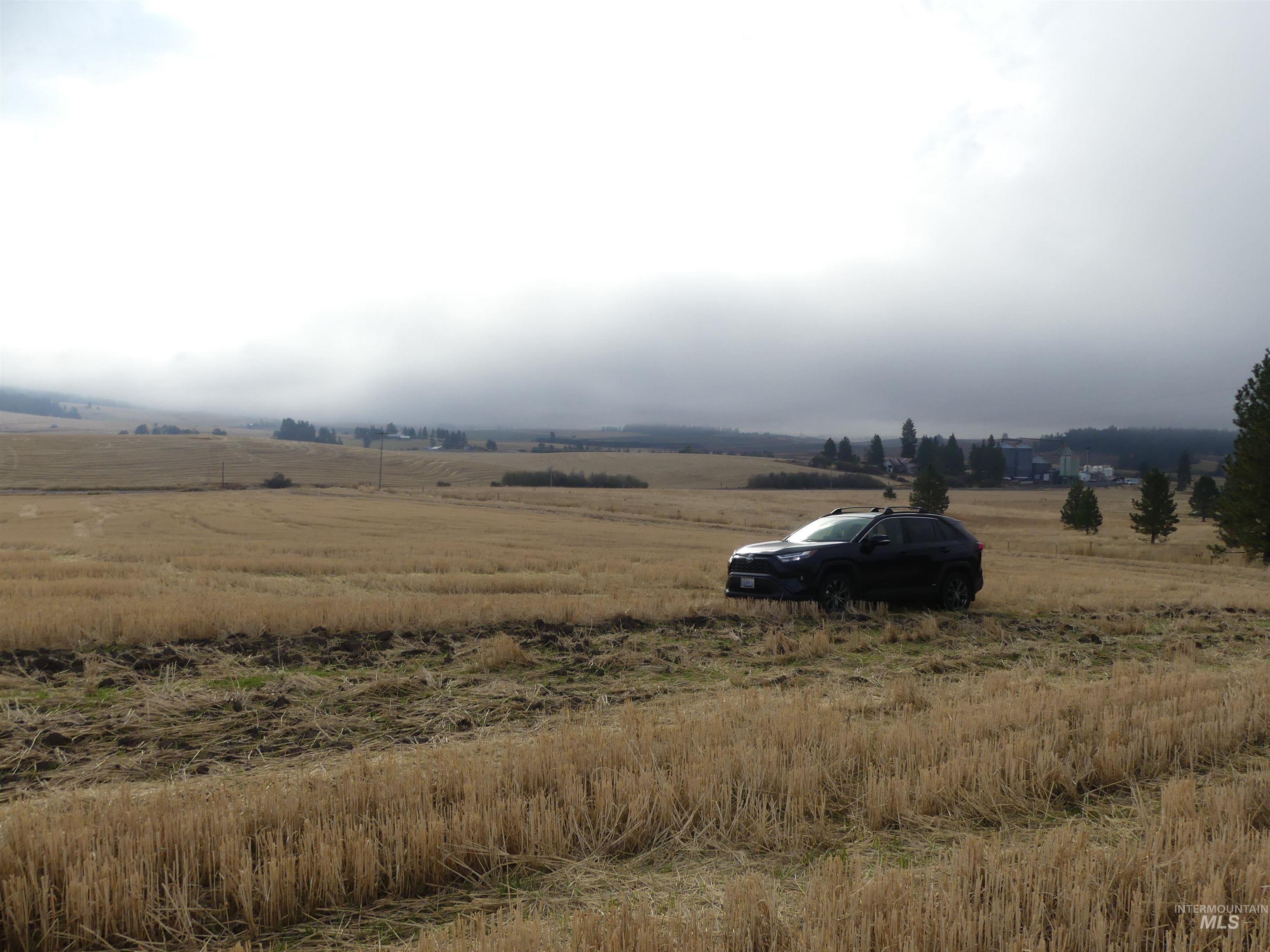 13500 CAVENDISH HWY, Kendrick, Idaho 83537, Land For Sale, Price $335,000, 99001325