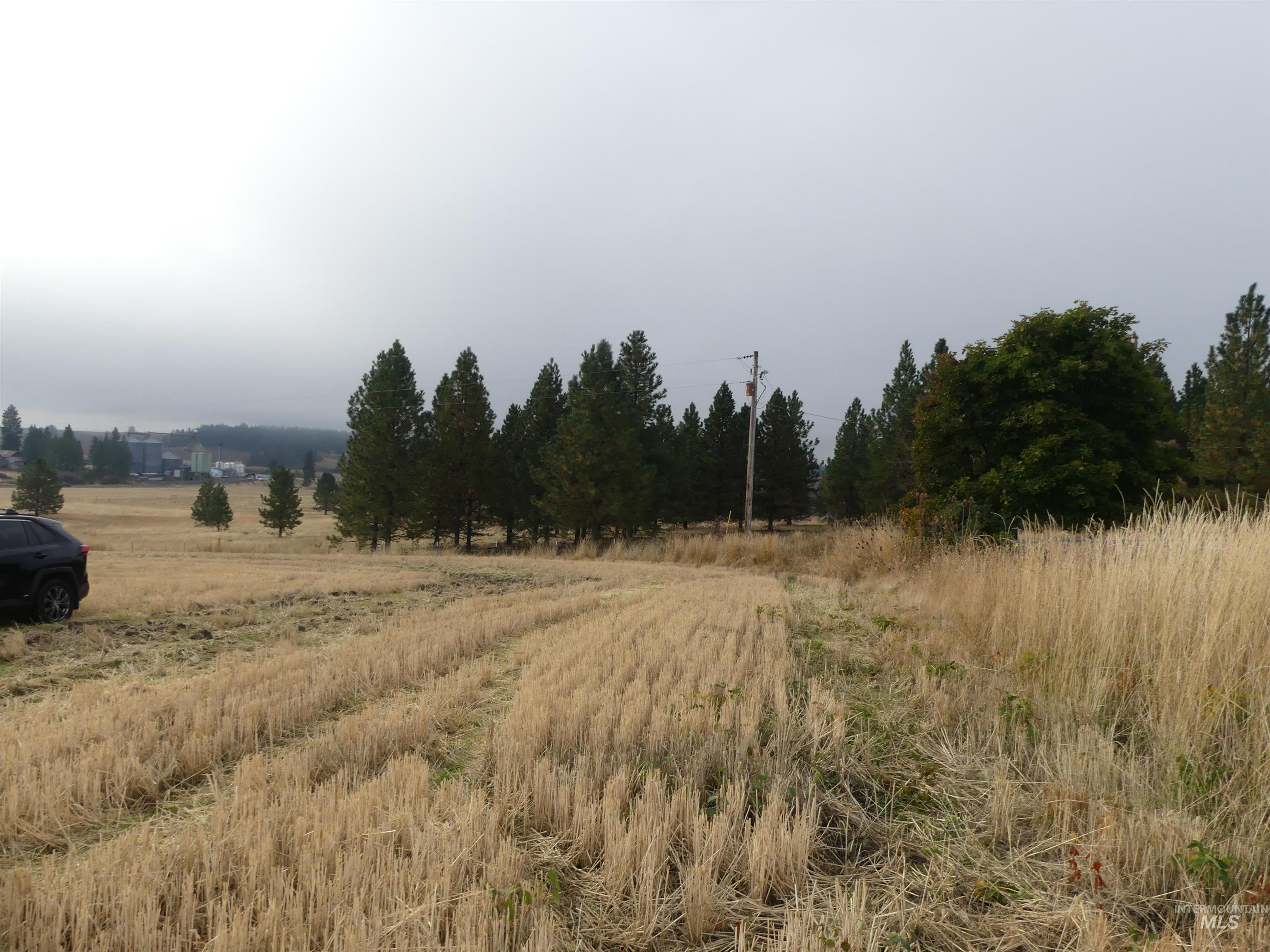 13500 CAVENDISH HWY, Kendrick, Idaho 83537, Land For Sale, Price $335,000, 99001325