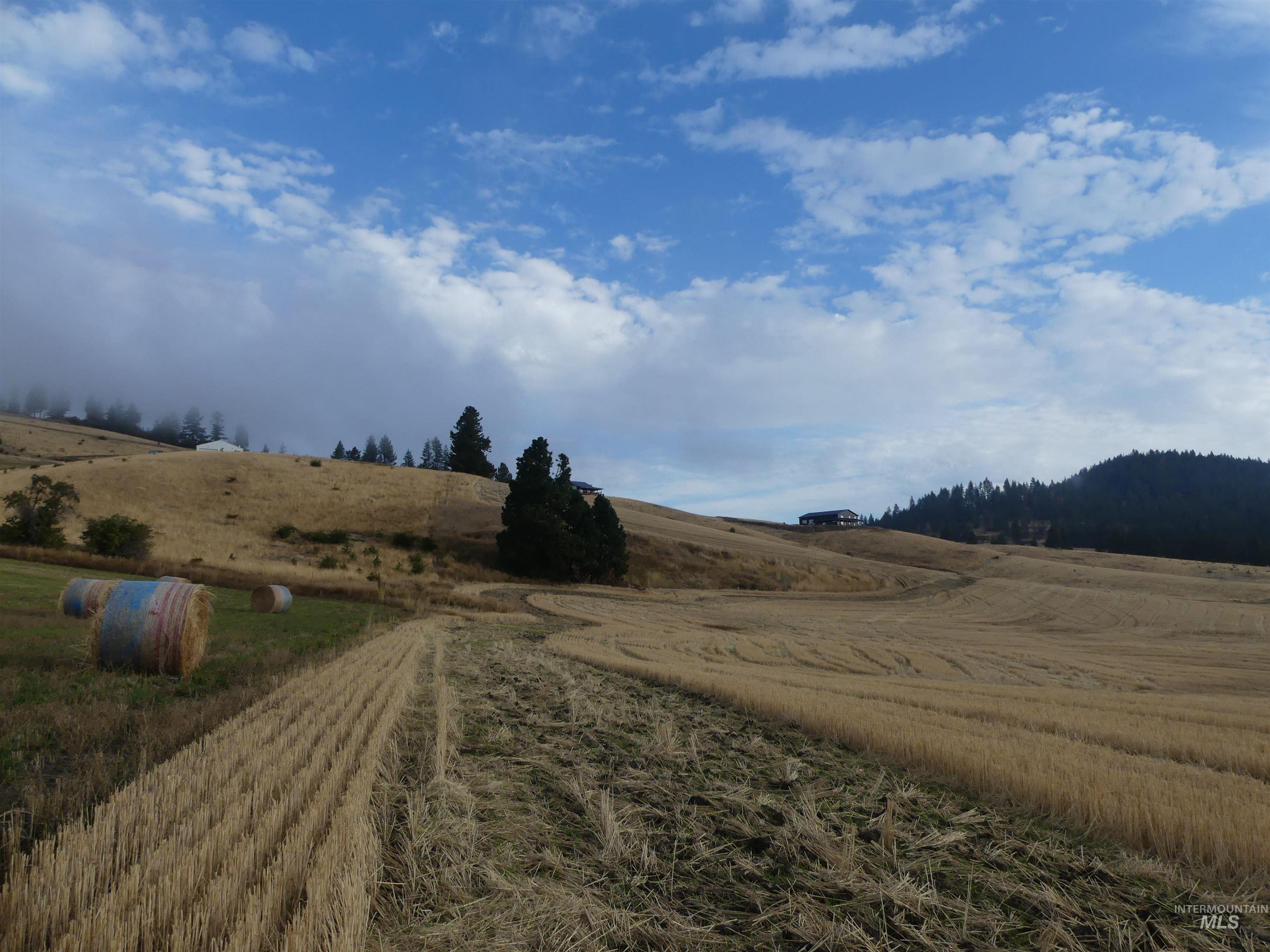 13500 CAVENDISH HWY, Kendrick, Idaho 83537, Land For Sale, Price $335,000, 99001325