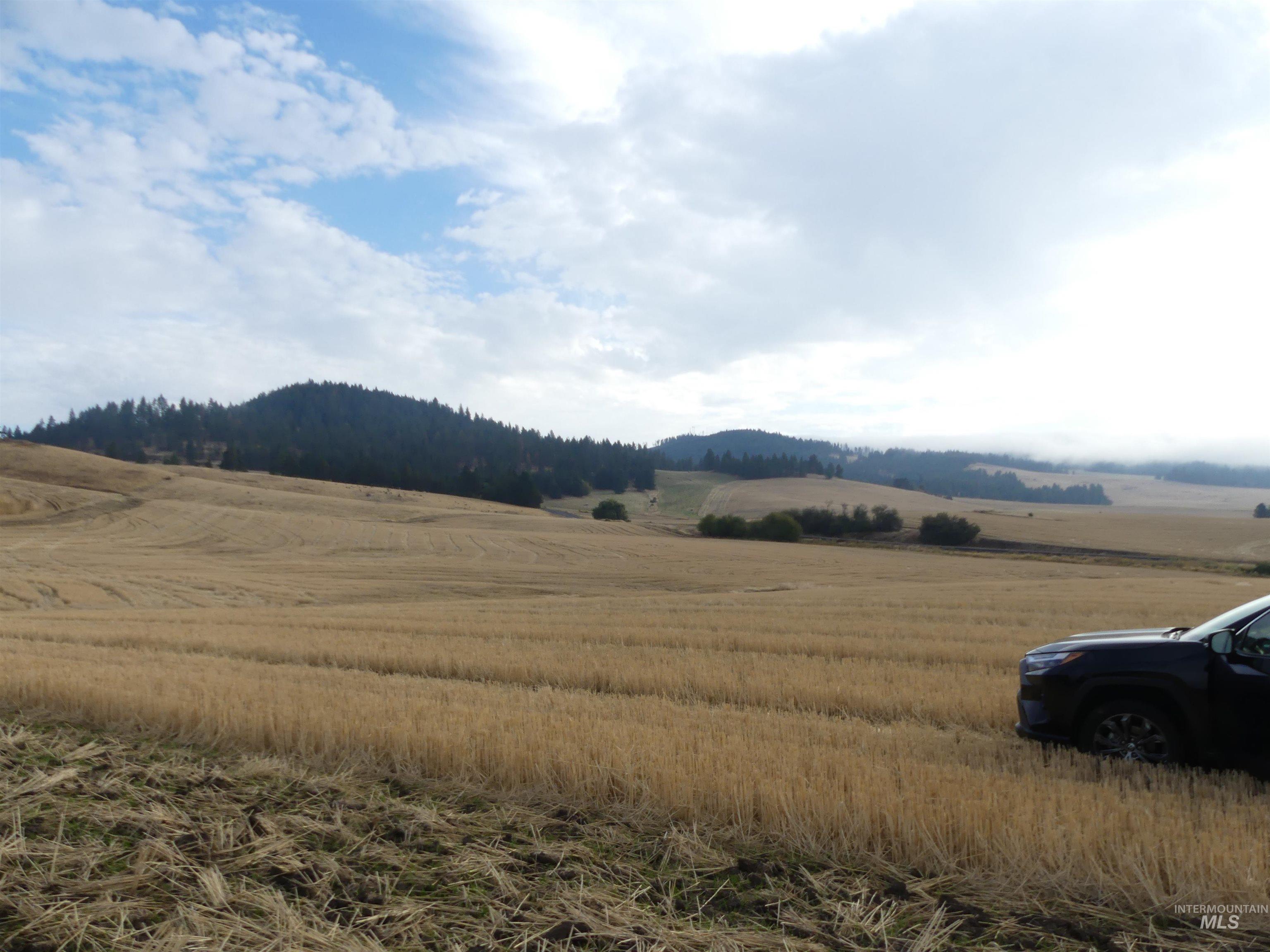 13500 CAVENDISH HWY, Kendrick, Idaho 83537, Land For Sale, Price $335,000, 99001325
