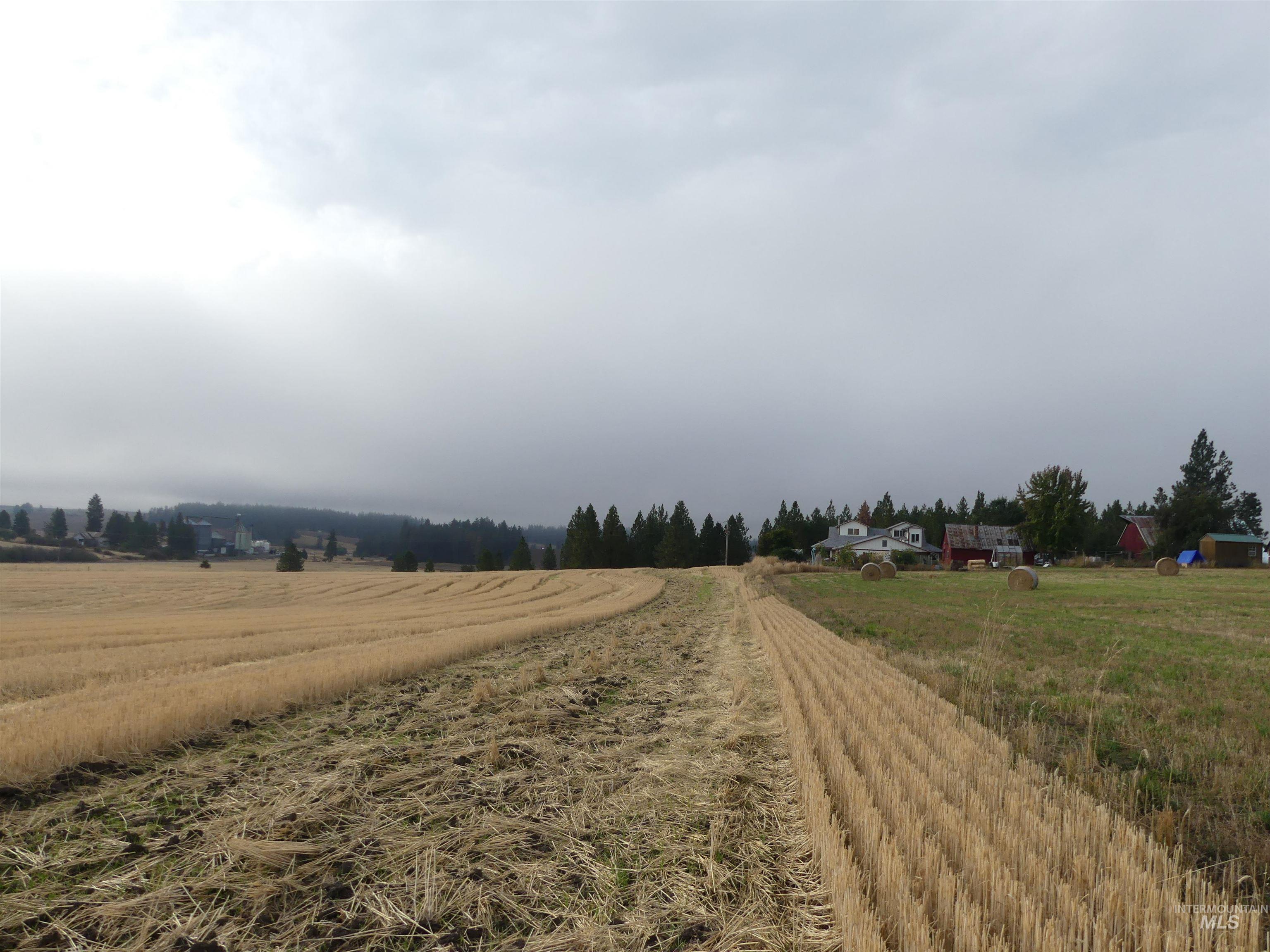 13500 CAVENDISH HWY, Kendrick, Idaho 83537, Land For Sale, Price $335,000, 99001325