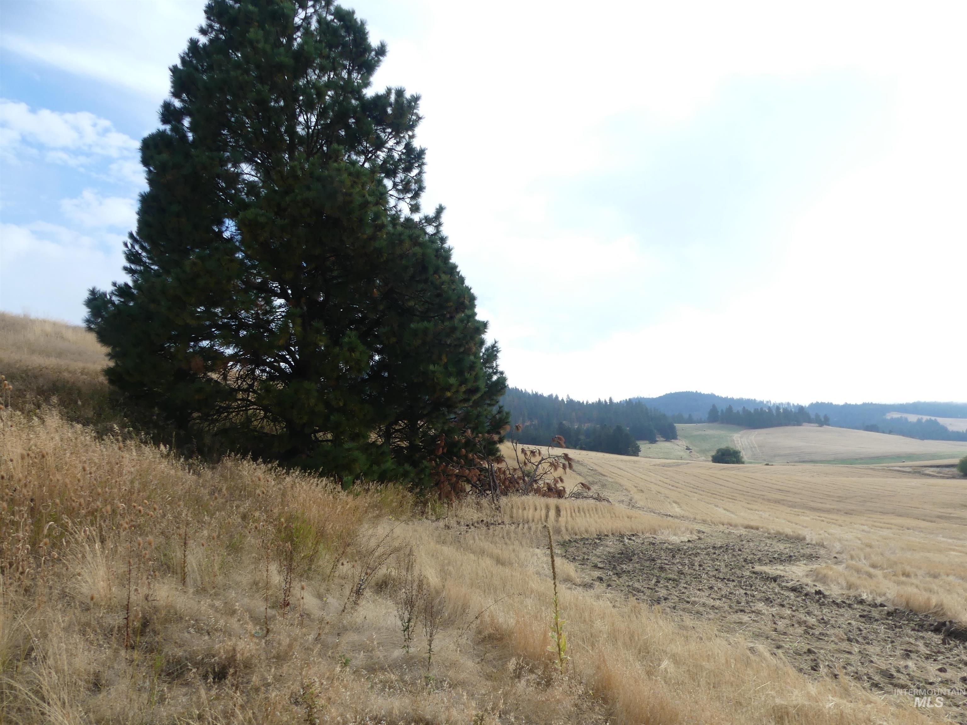13500 CAVENDISH HWY, Kendrick, Idaho 83537, Land For Sale, Price $335,000, 99001325