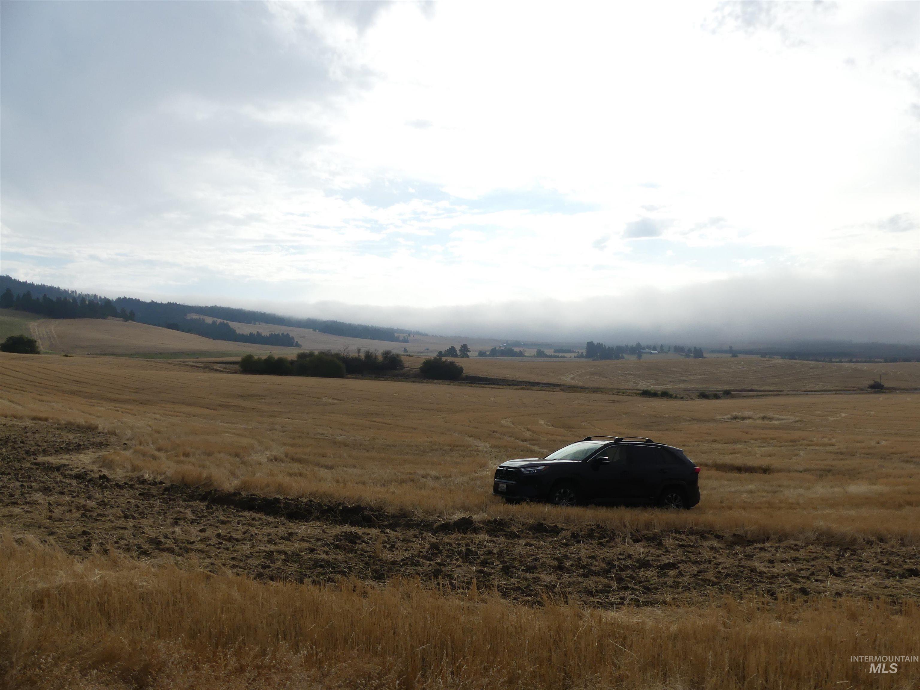 13500 CAVENDISH HWY, Kendrick, Idaho 83537, Land For Sale, Price $335,000, 99001325