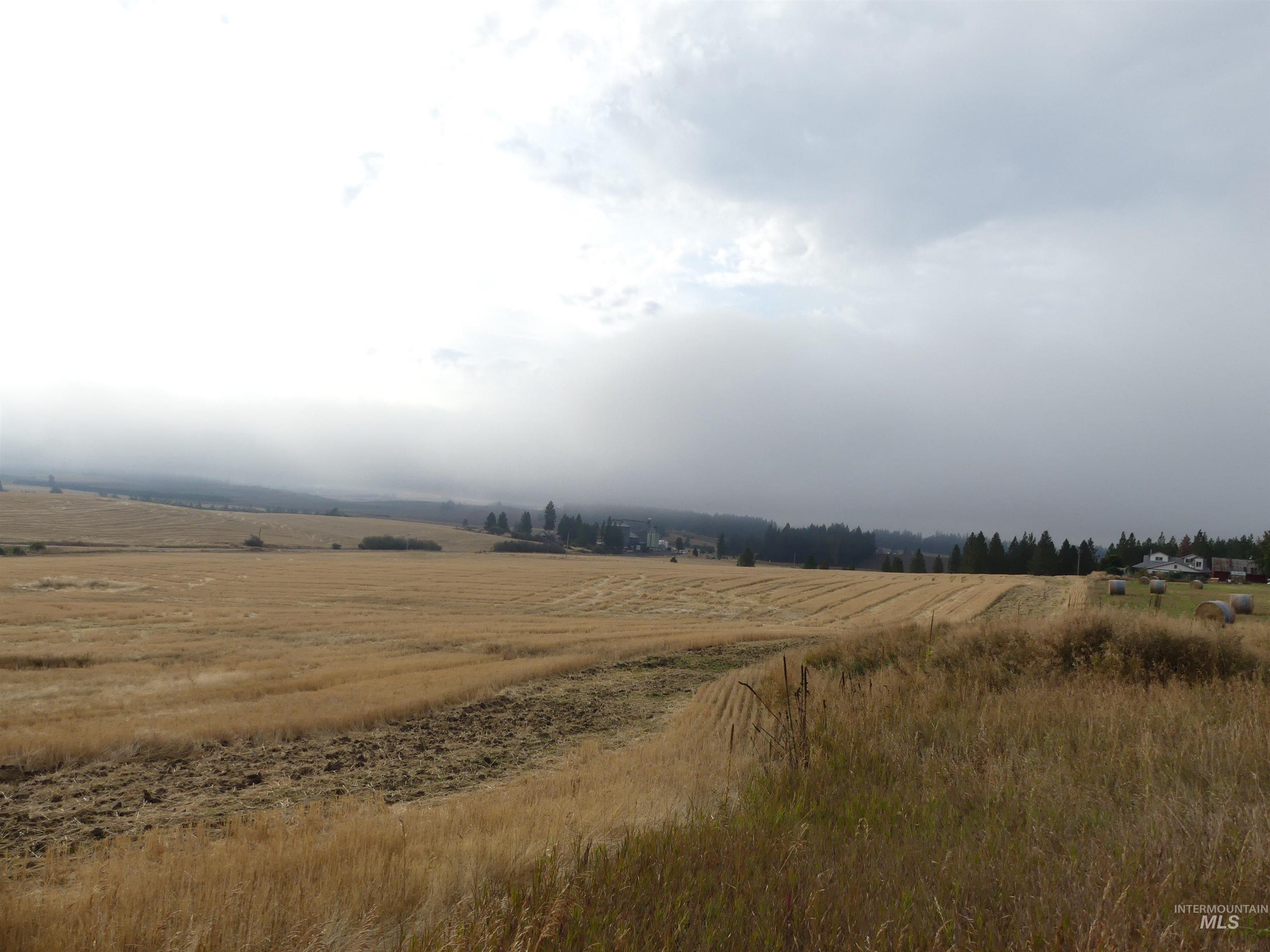 13500 CAVENDISH HWY, Kendrick, Idaho 83537, Land For Sale, Price $335,000, 99001325