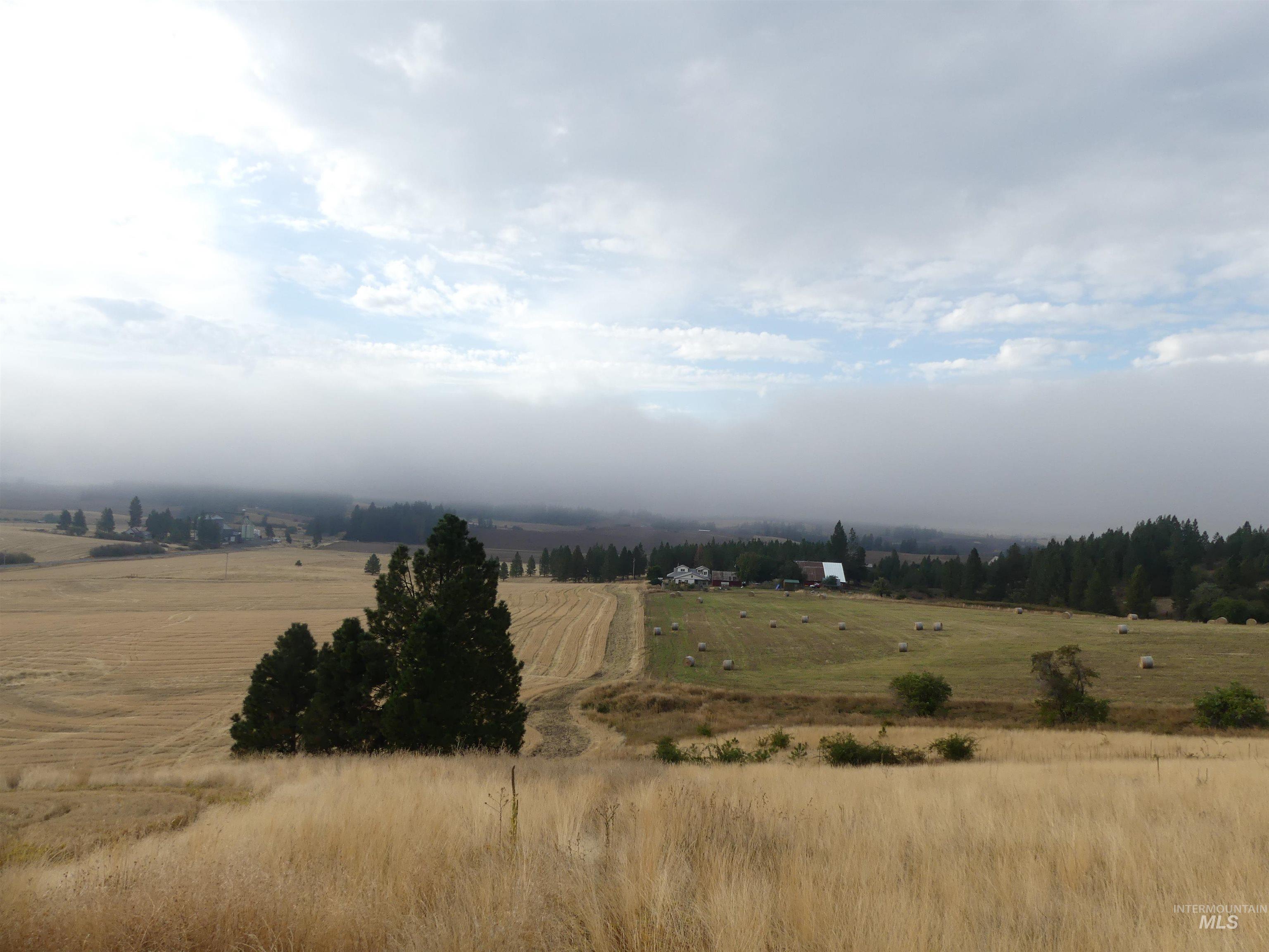13500 CAVENDISH HWY, Kendrick, Idaho 83537, Land For Sale, Price $335,000, 99001325