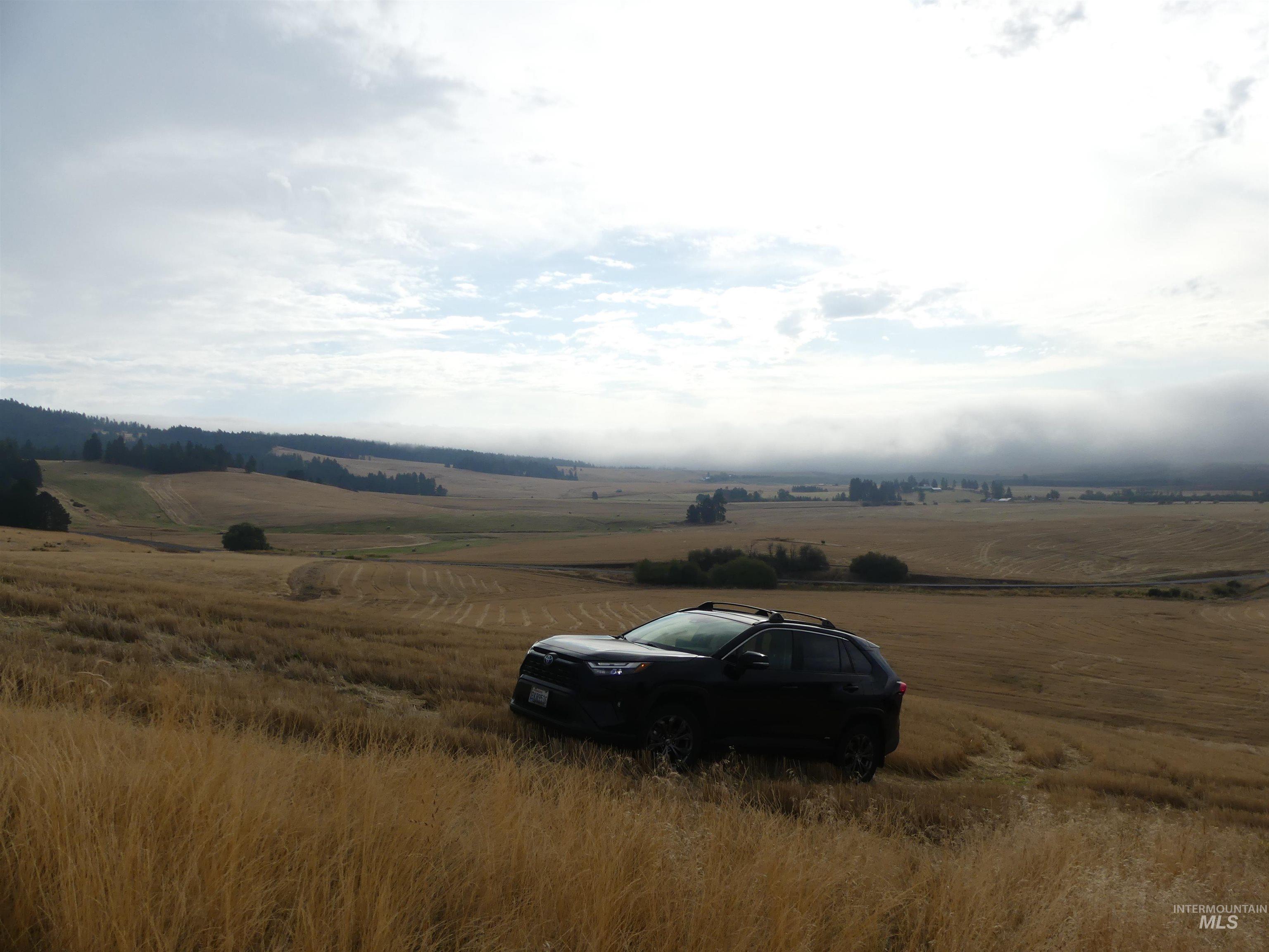 13500 CAVENDISH HWY, Kendrick, Idaho 83537, Land For Sale, Price $335,000, 99001325