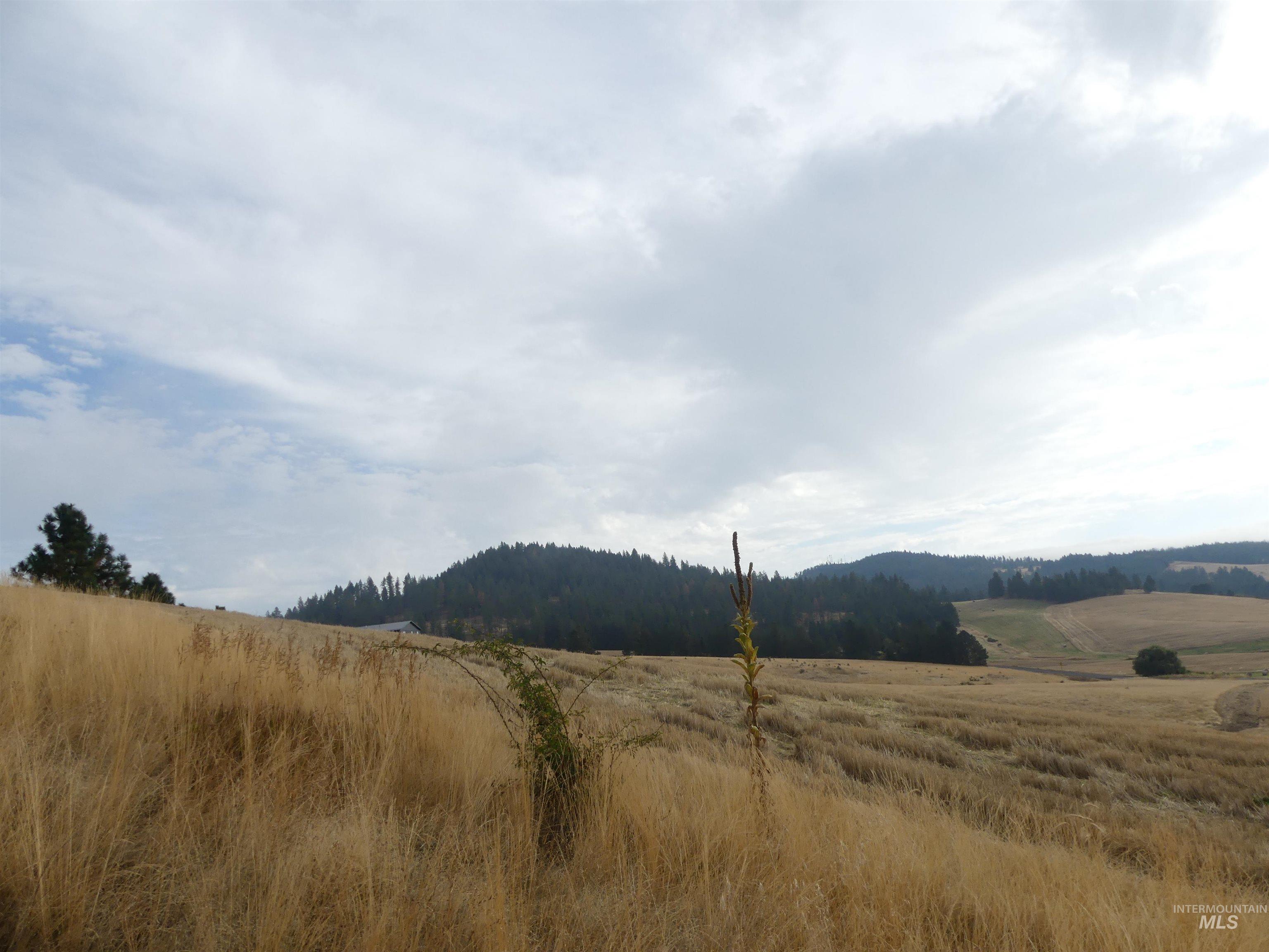 13500 CAVENDISH HWY, Kendrick, Idaho 83537, Land For Sale, Price $335,000, 99001325