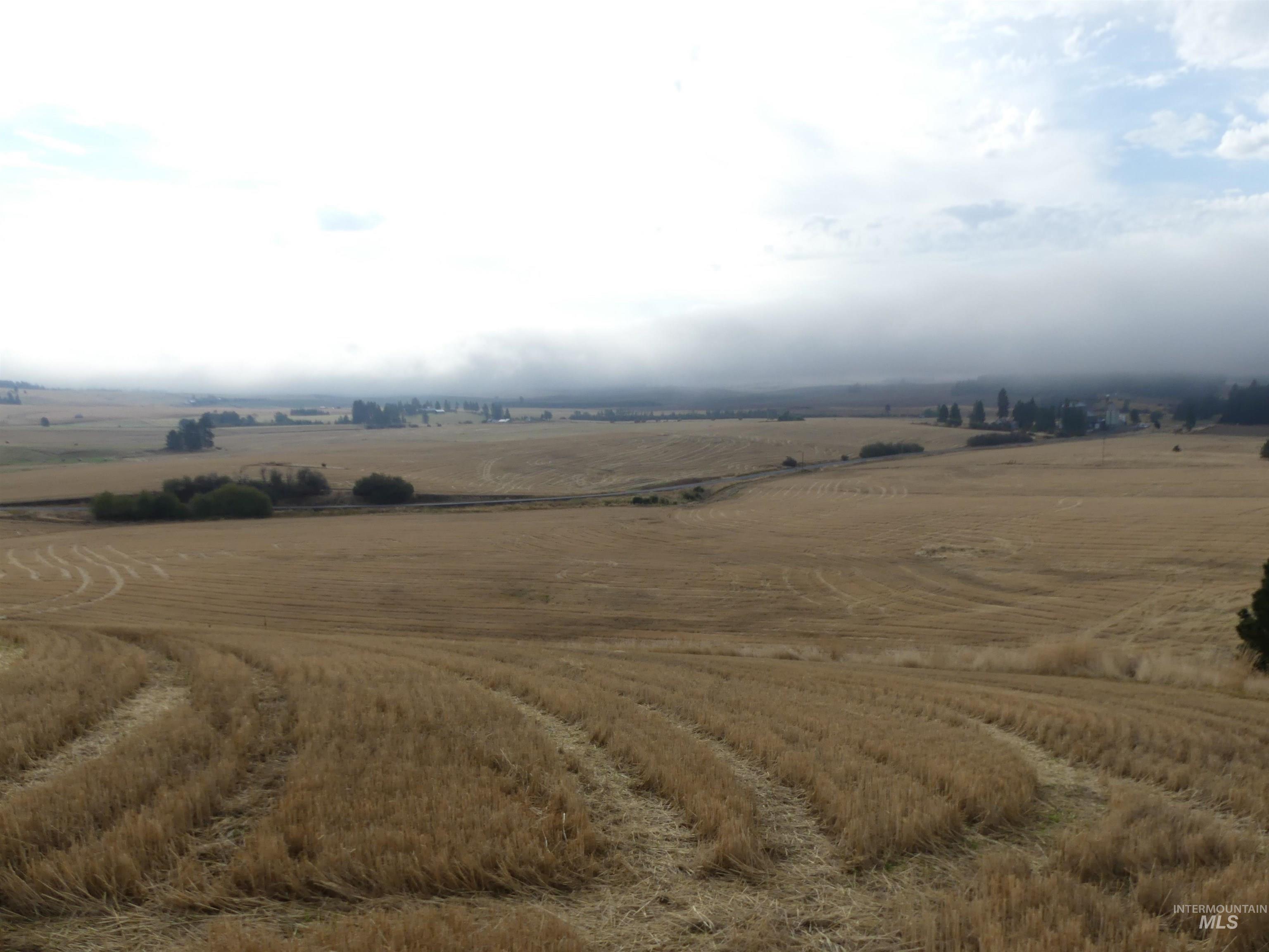 13500 CAVENDISH HWY, Kendrick, Idaho 83537, Land For Sale, Price $335,000, 99001325