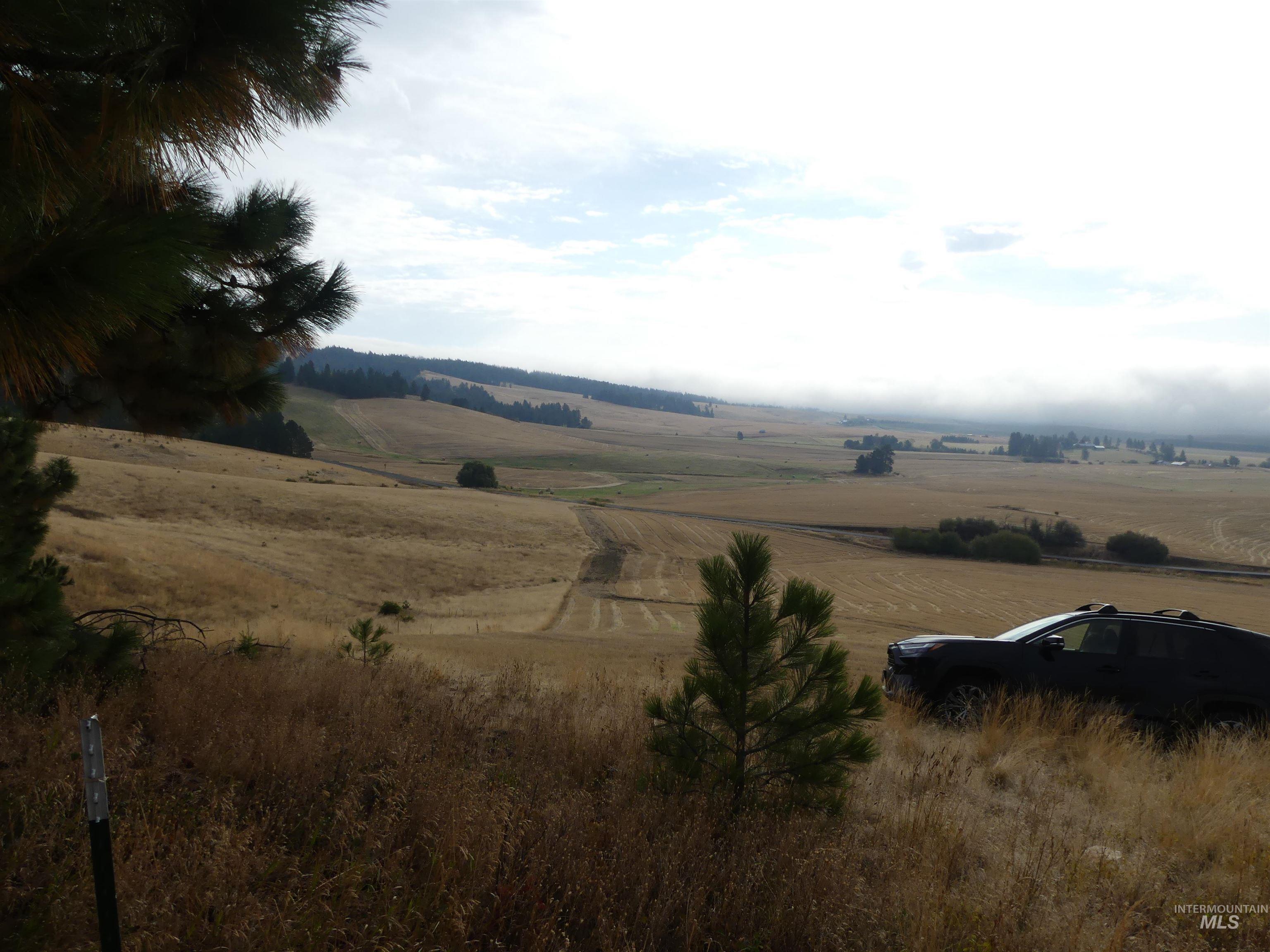 13500 CAVENDISH HWY, Kendrick, Idaho 83537, Land For Sale, Price $335,000, 99001325