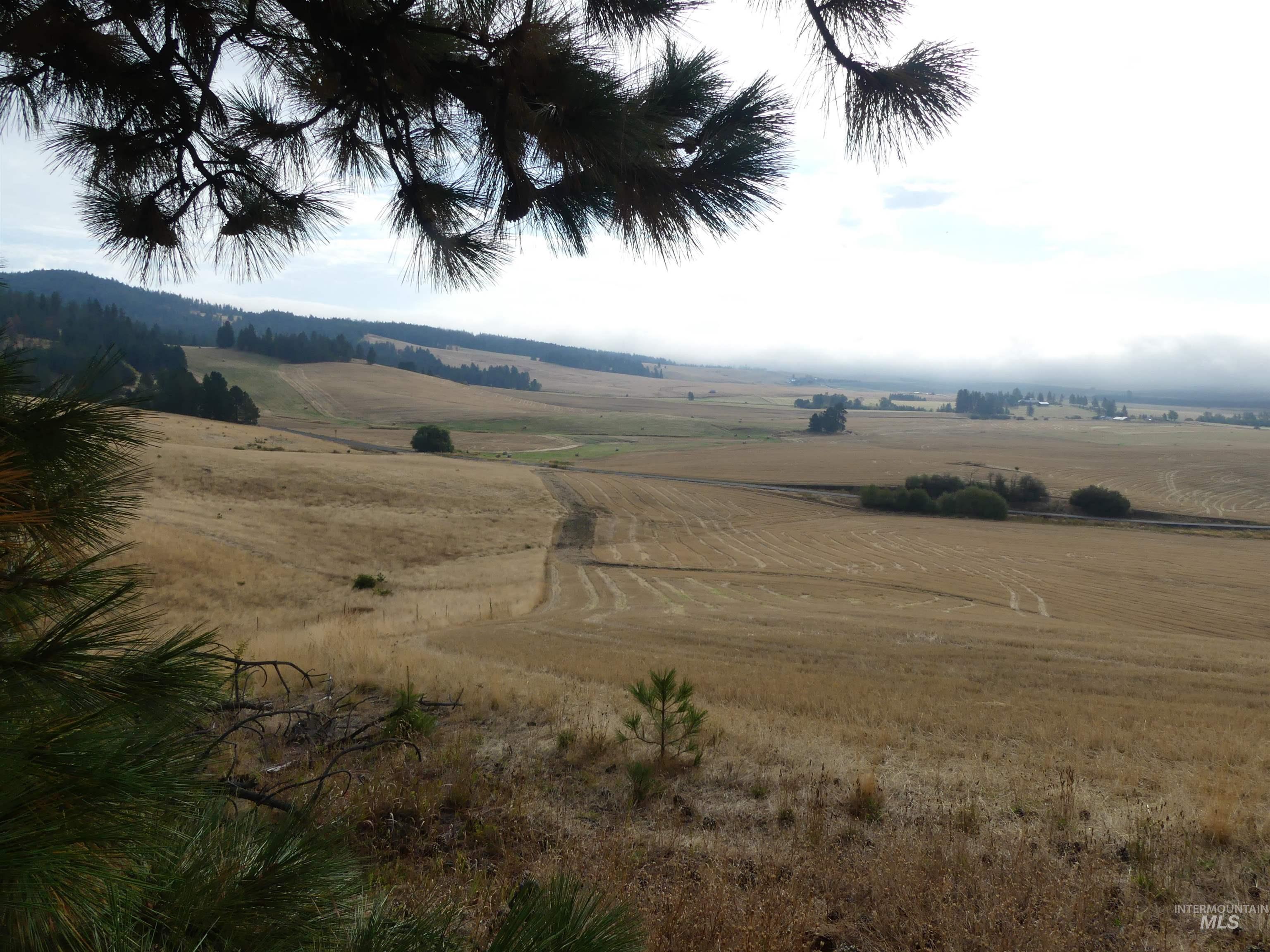 13500 CAVENDISH HWY, Kendrick, Idaho 83537, Land For Sale, Price $335,000, 99001325