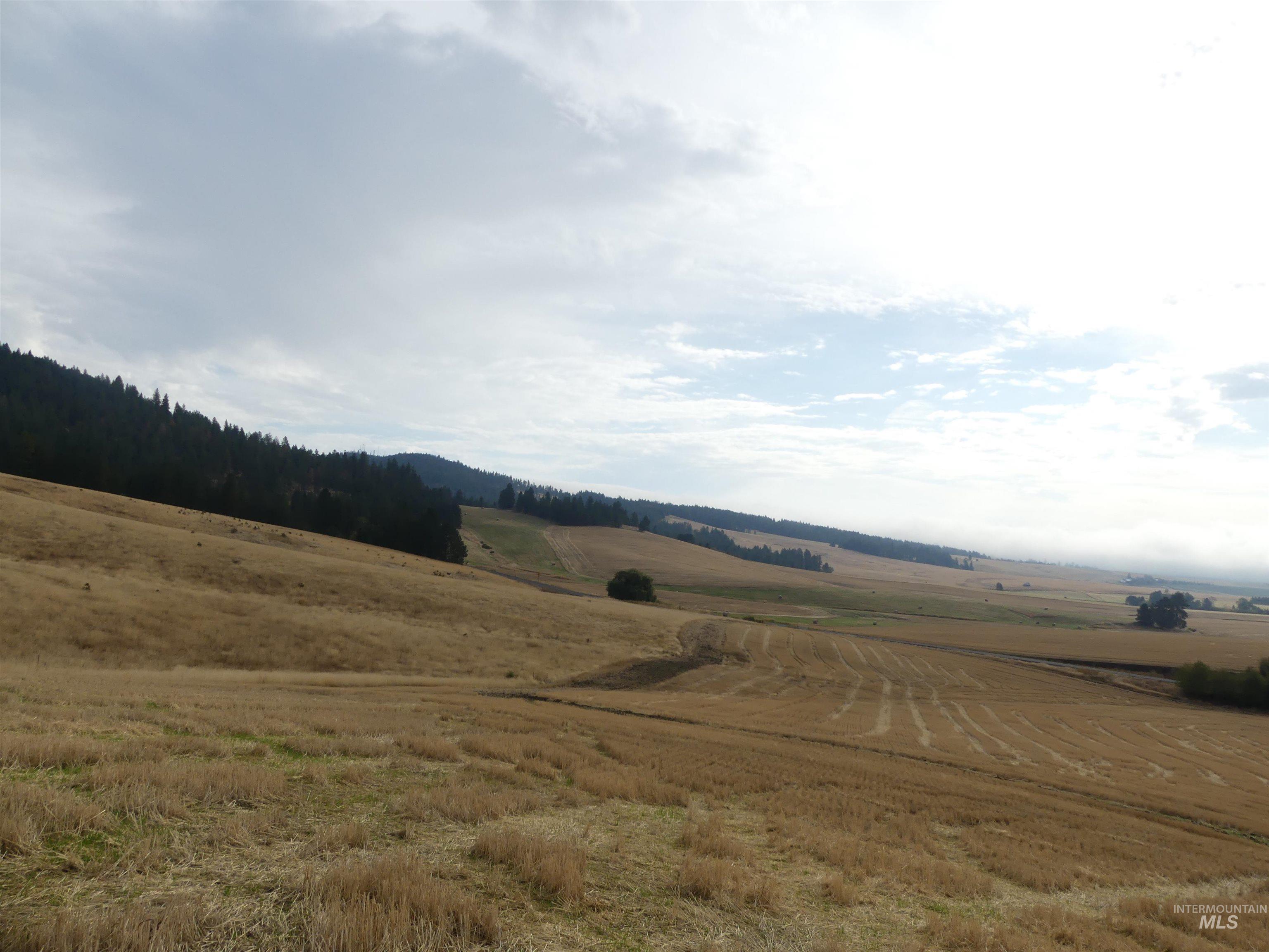13500 CAVENDISH HWY, Kendrick, Idaho 83537, Land For Sale, Price $335,000, 99001325