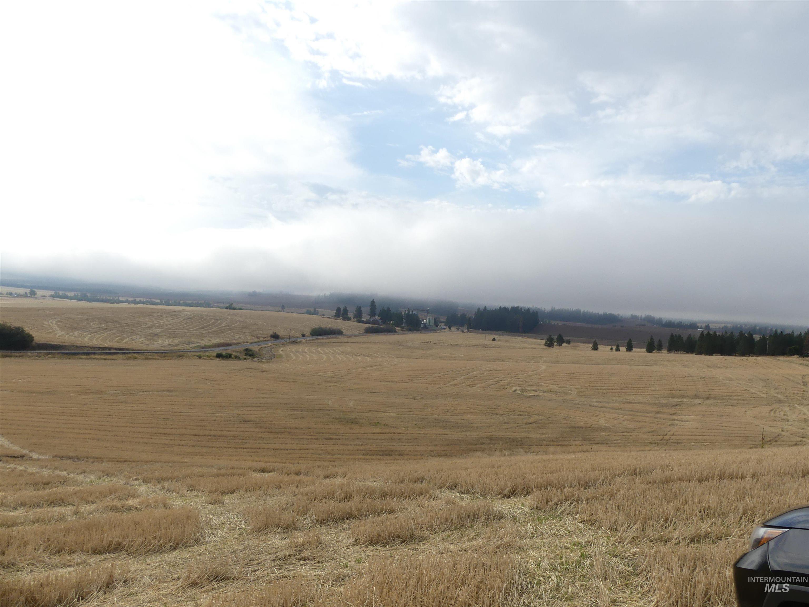 13500 CAVENDISH HWY, Kendrick, Idaho 83537, Land For Sale, Price $335,000, 99001325