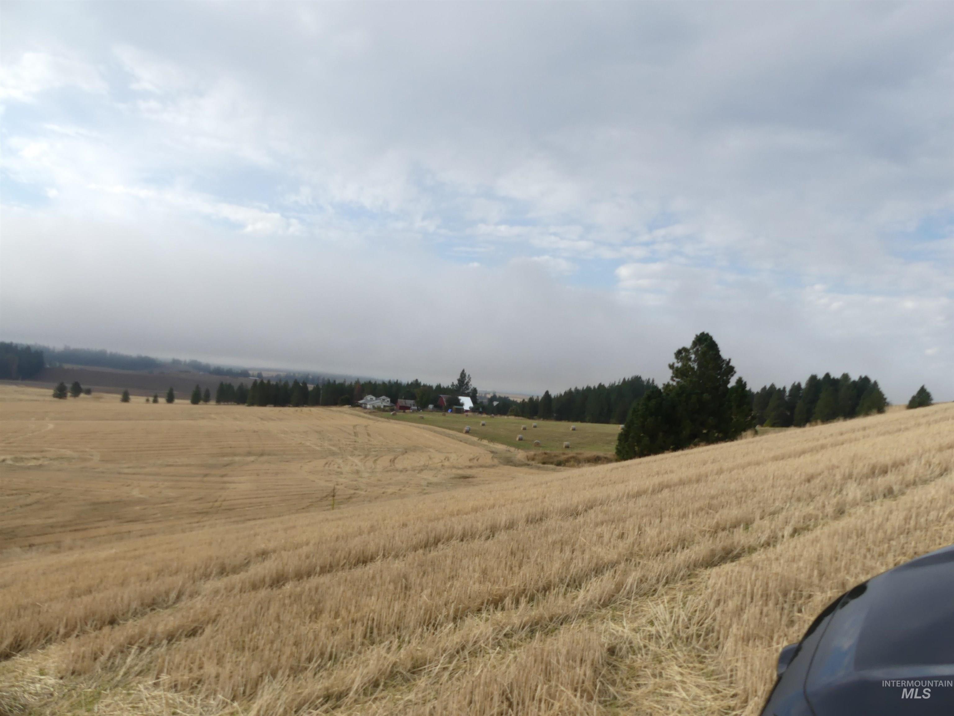 13500 CAVENDISH HWY, Kendrick, Idaho 83537, Land For Sale, Price $335,000, 99001325