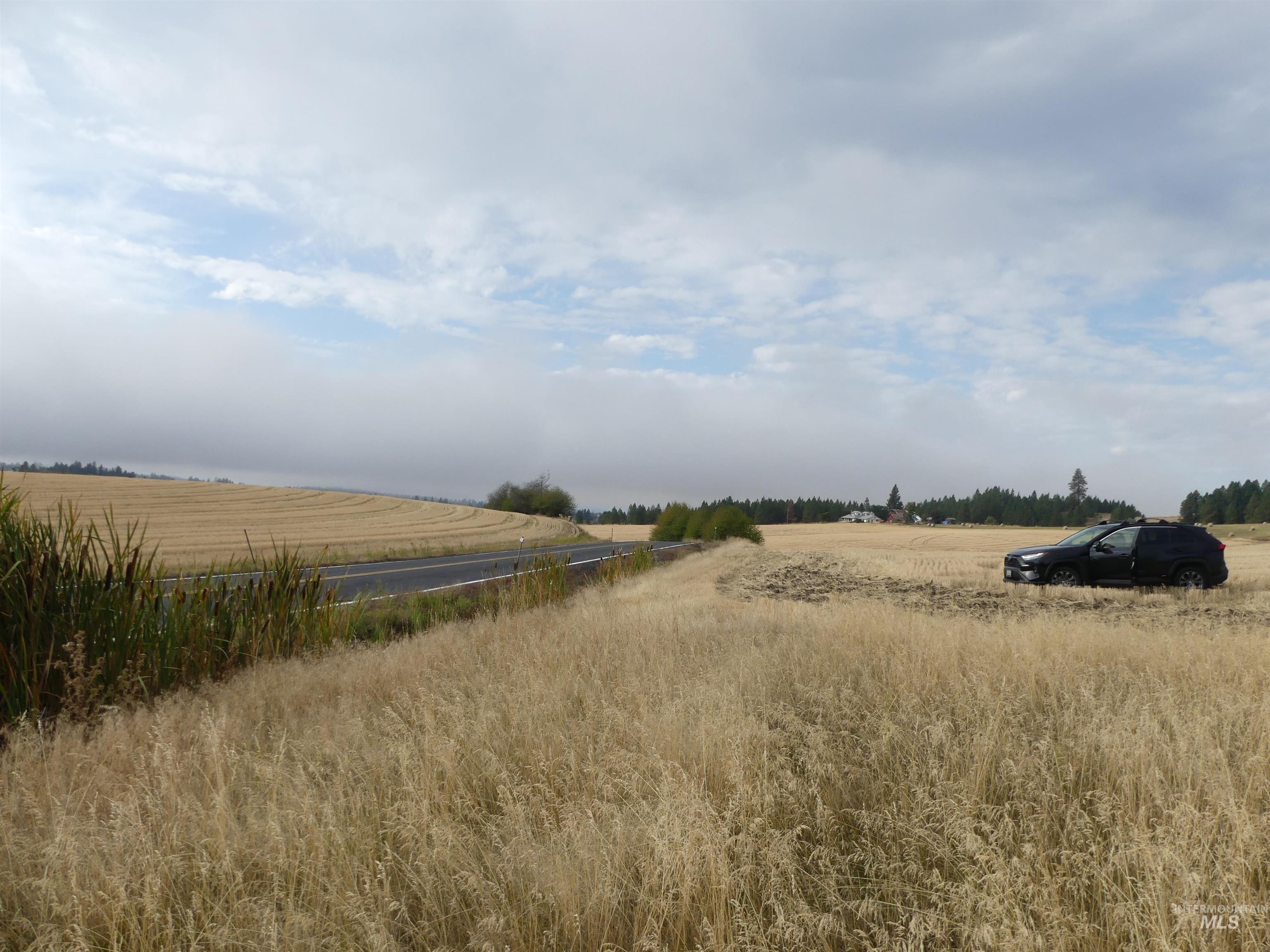 13500 CAVENDISH HWY, Kendrick, Idaho 83537, Land For Sale, Price $335,000, 99001325