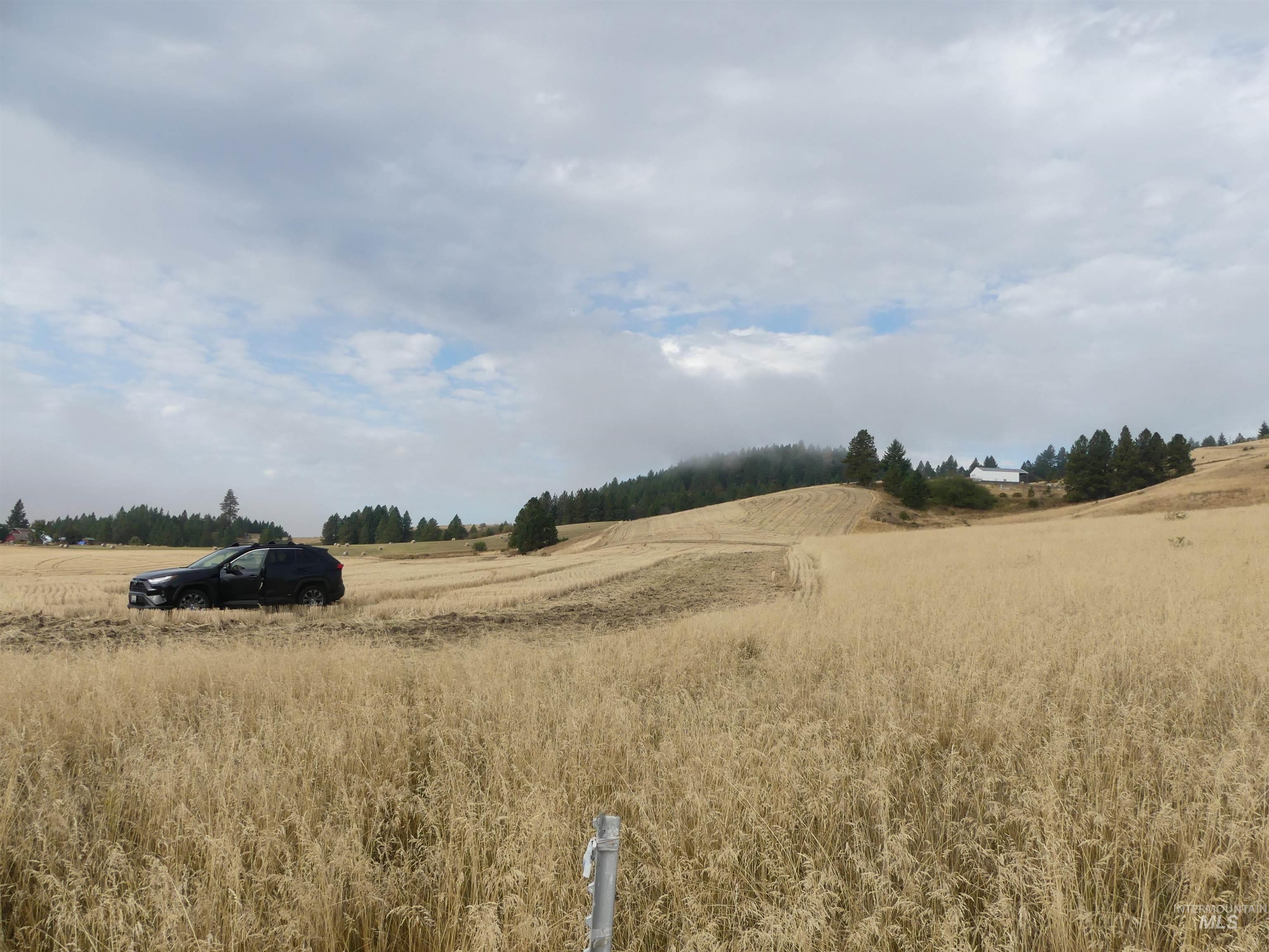 13500 CAVENDISH HWY, Kendrick, Idaho 83537, Land For Sale, Price $335,000, 99001325