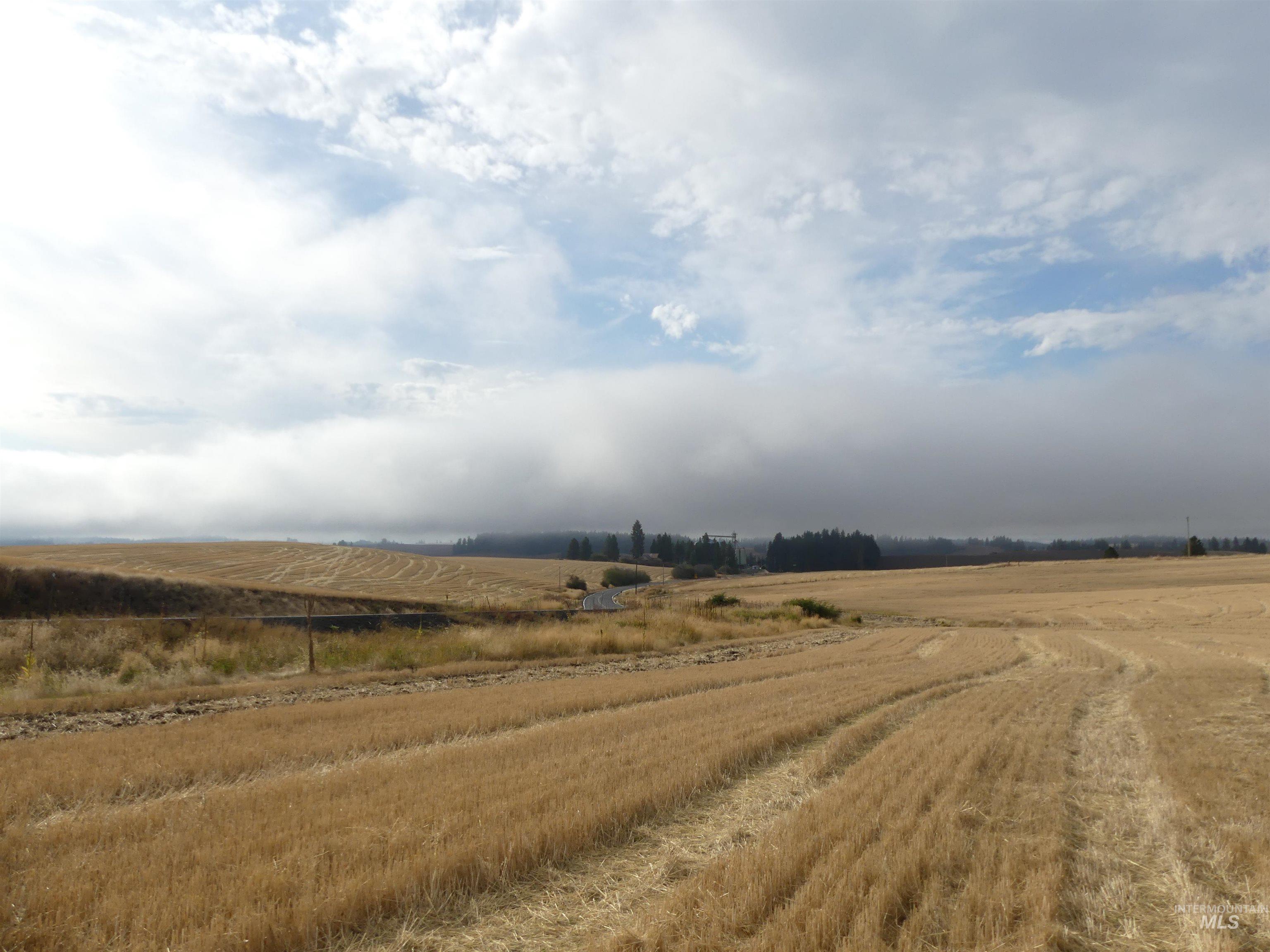13500 CAVENDISH HWY, Kendrick, Idaho 83537, Land For Sale, Price $335,000, 99001325