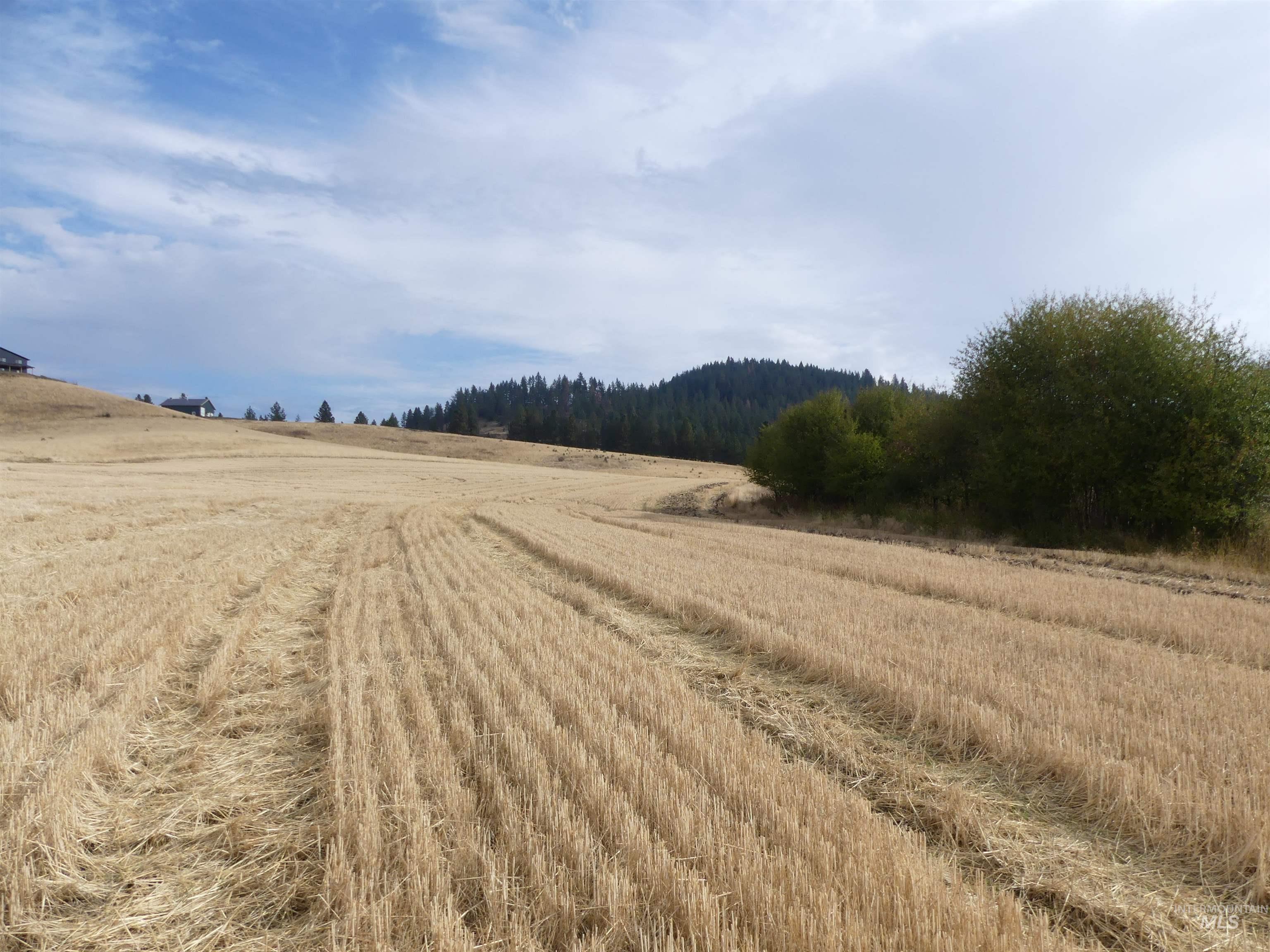 13500 CAVENDISH HWY, Kendrick, Idaho 83537, Land For Sale, Price $335,000, 99001325