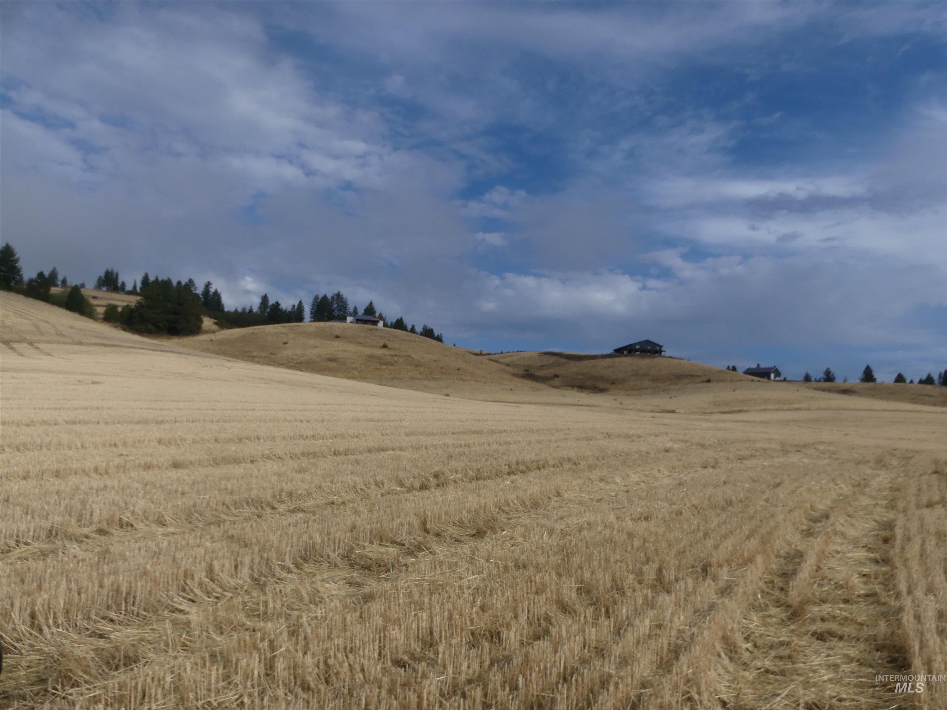 13500 CAVENDISH HWY, Kendrick, Idaho 83537, Land For Sale, Price $335,000, 99001325