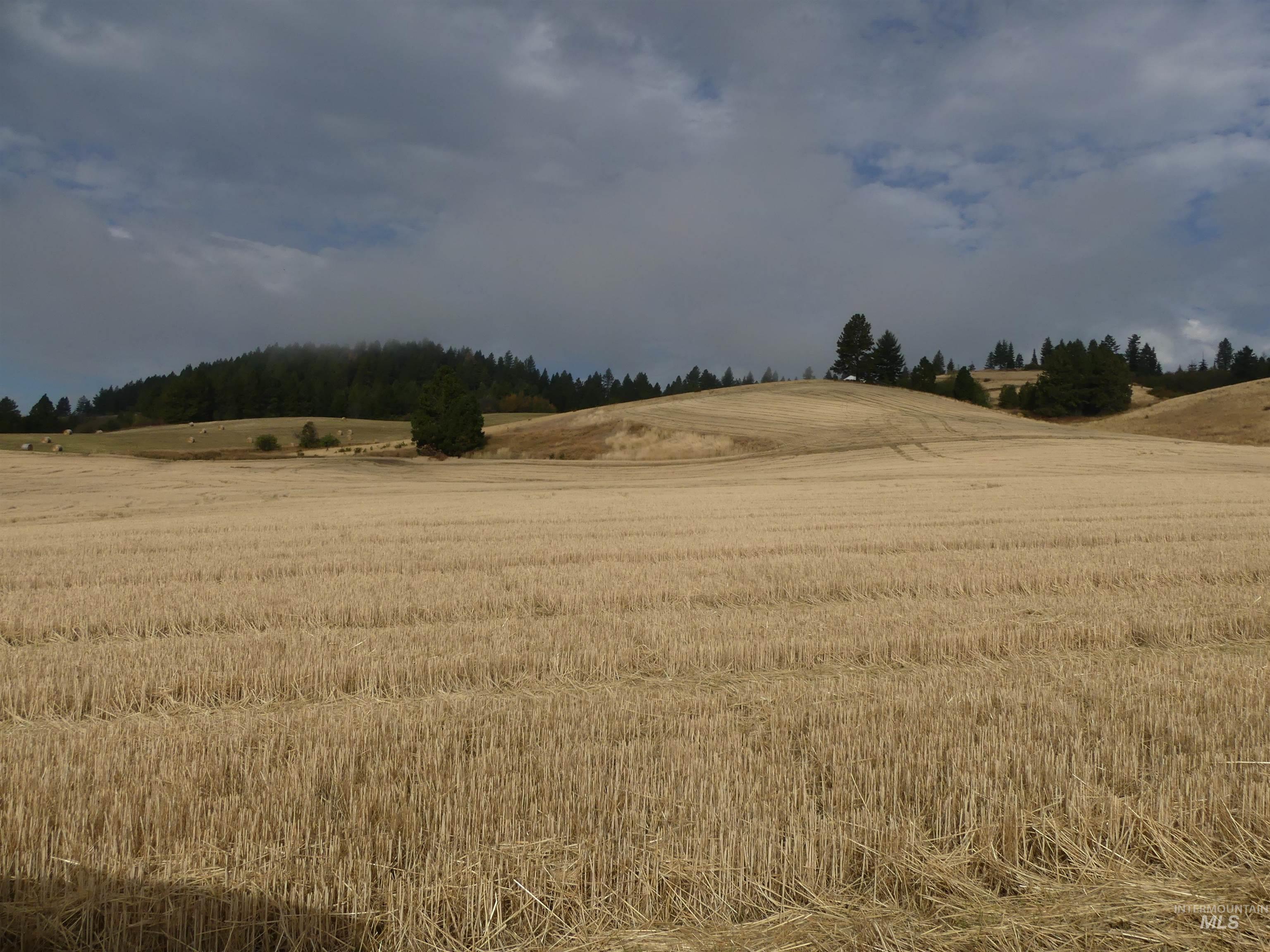 13500 CAVENDISH HWY, Kendrick, Idaho 83537, Land For Sale, Price $335,000, 99001325