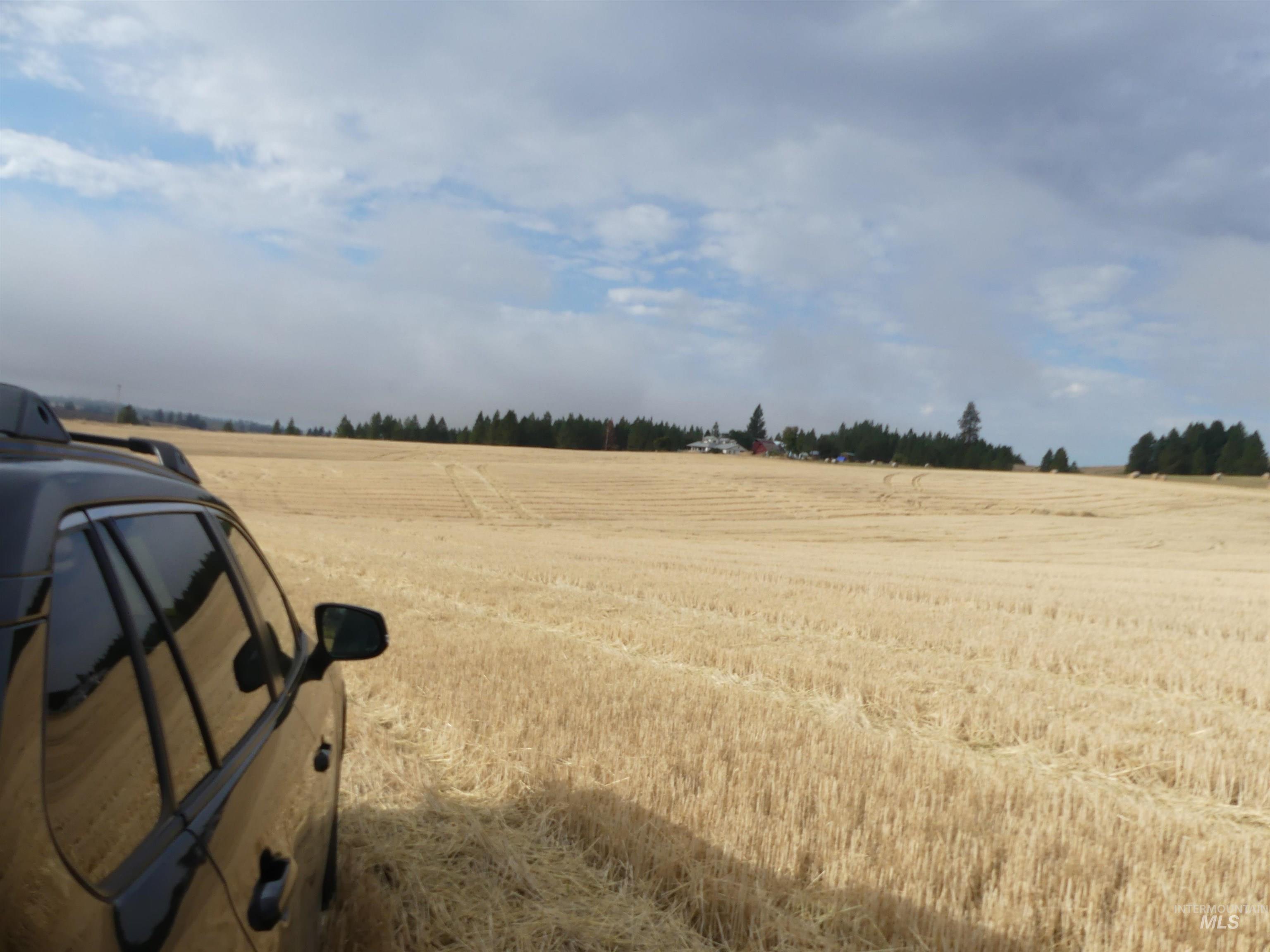 13500 CAVENDISH HWY, Kendrick, Idaho 83537, Land For Sale, Price $335,000, 99001325