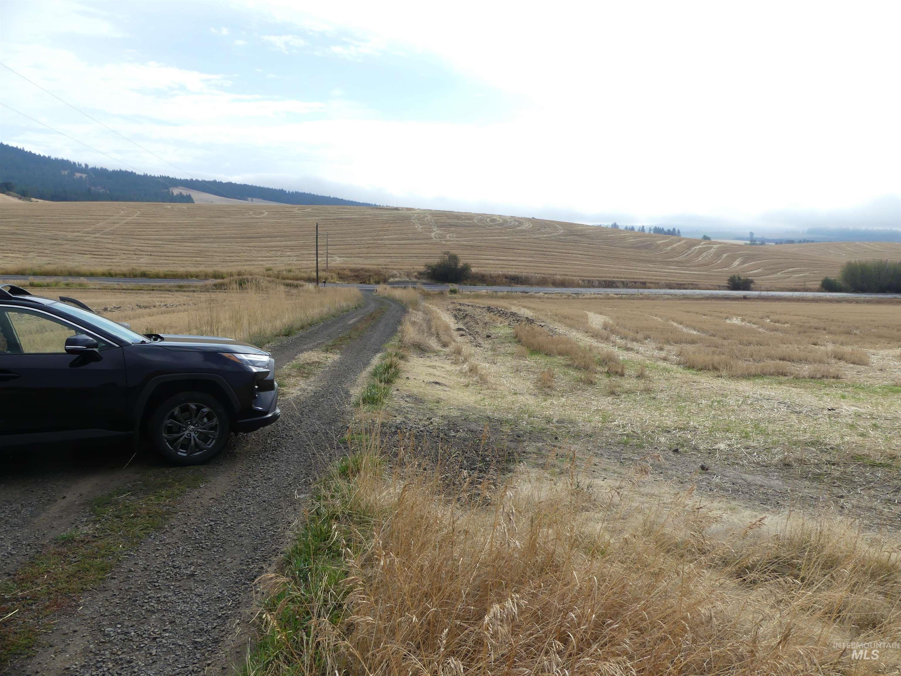 13500 CAVENDISH HWY, Kendrick, Idaho 83537, Land For Sale, Price $335,000, 99001325