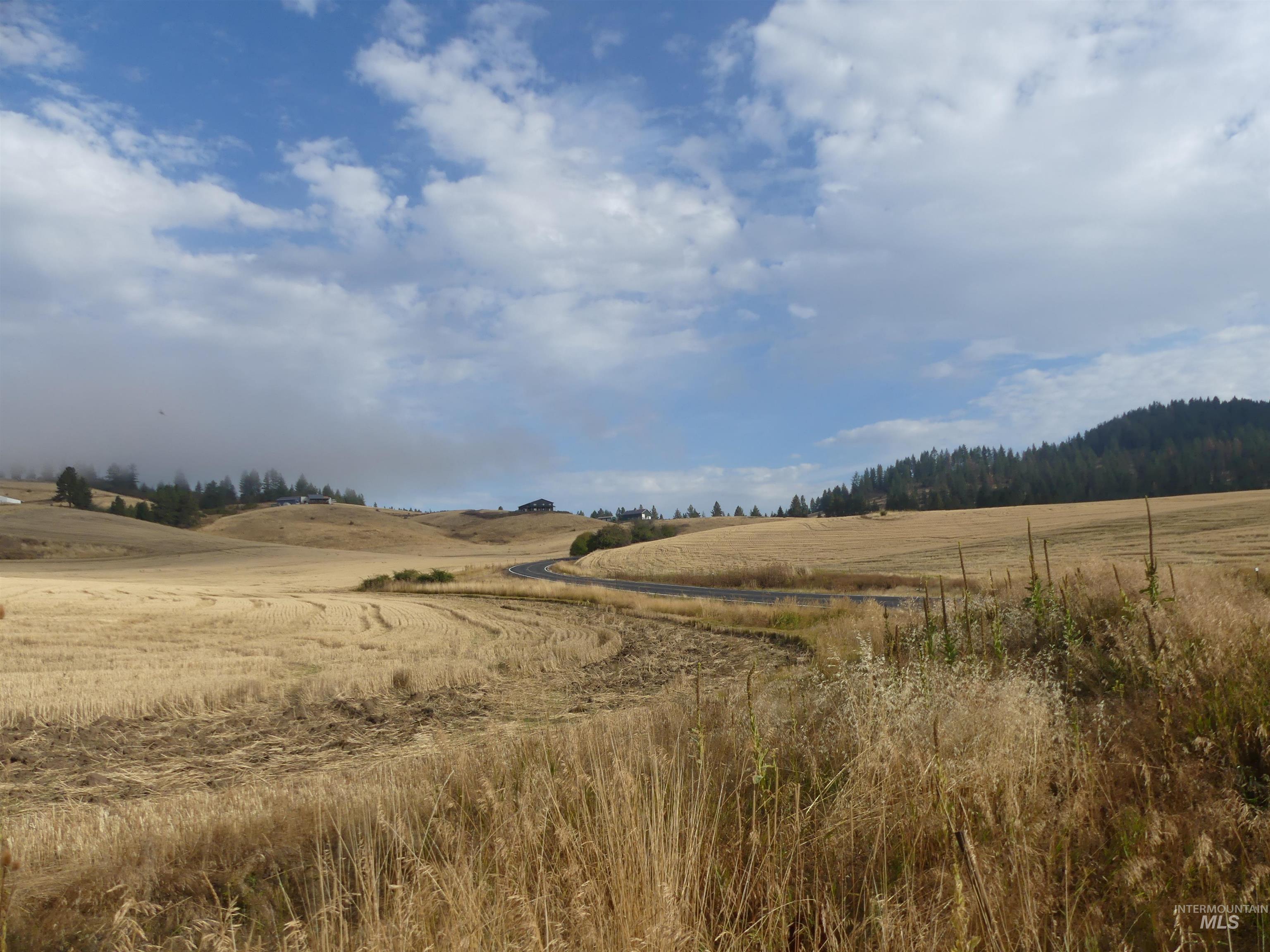 13500 CAVENDISH HWY, Kendrick, Idaho 83537, Land For Sale, Price $335,000, 99001325