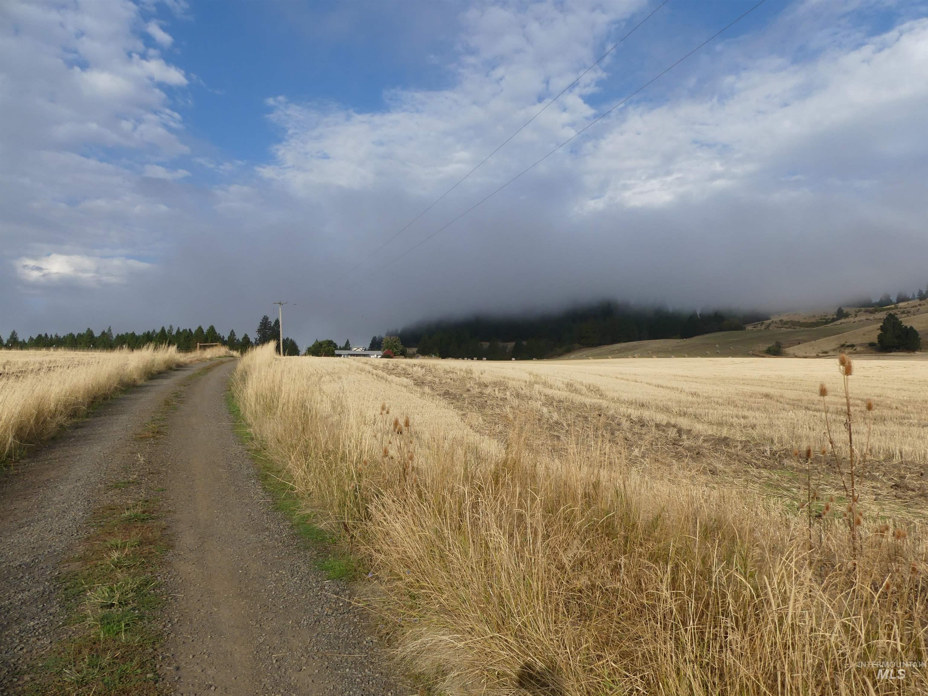 13500 CAVENDISH HWY, Kendrick, Idaho 83537, Land For Sale, Price $335,000, 99001325
