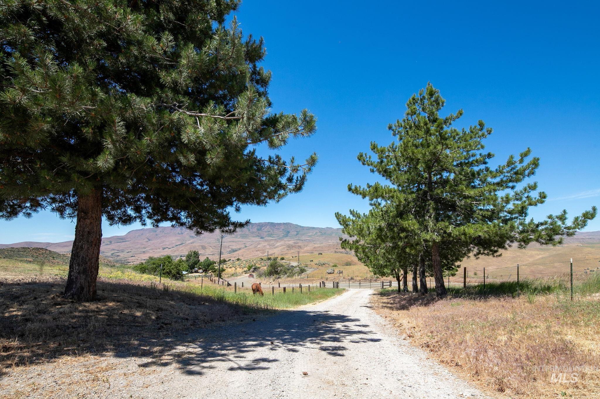 11995 Brownlee Road, Sweet, Idaho 83670, Land For Sale, Price $649,900, 99001397
