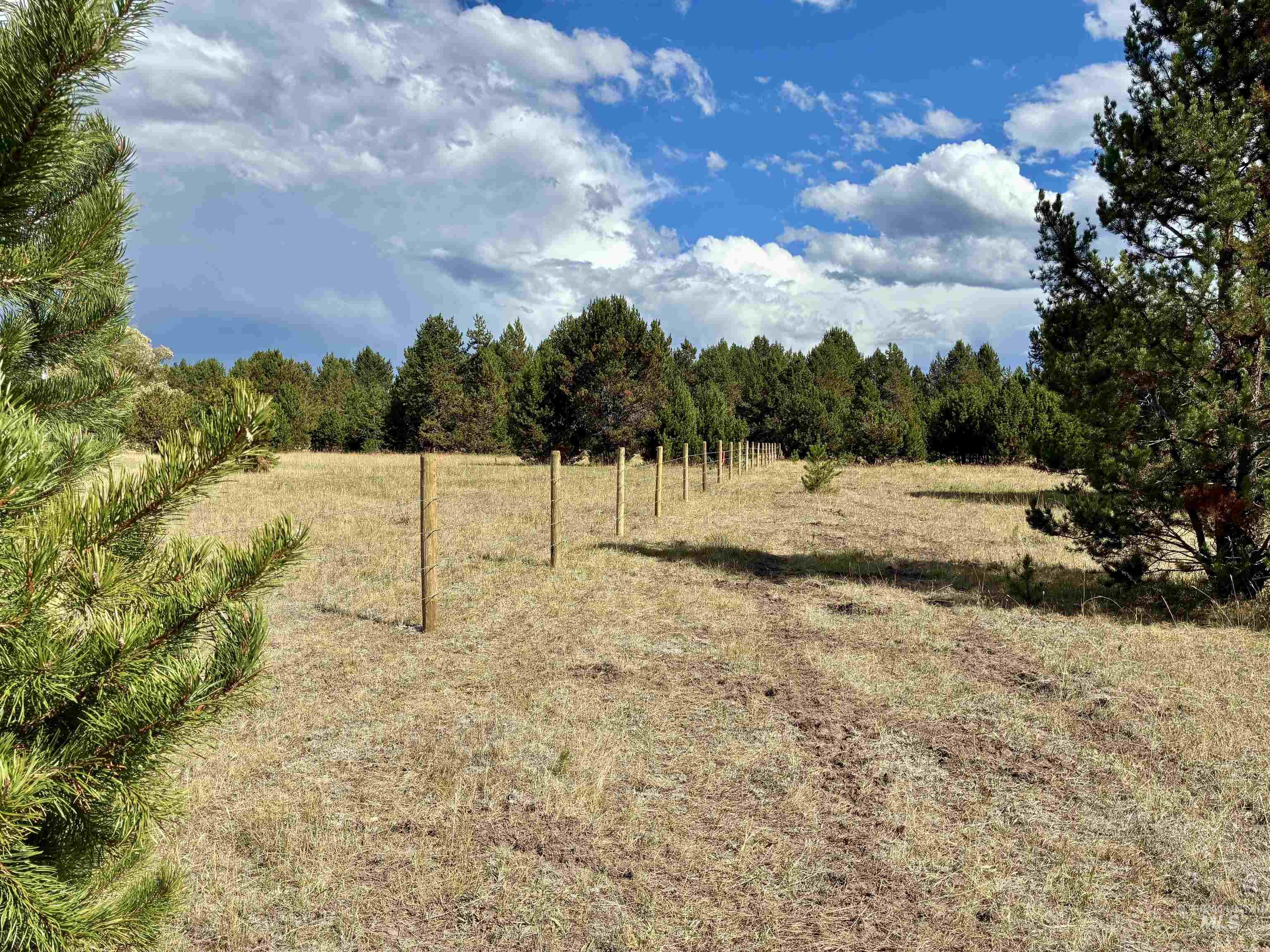 TBD Highway 55, Donnelly, Idaho 83615, Land For Sale, Price $699,000, 99001424