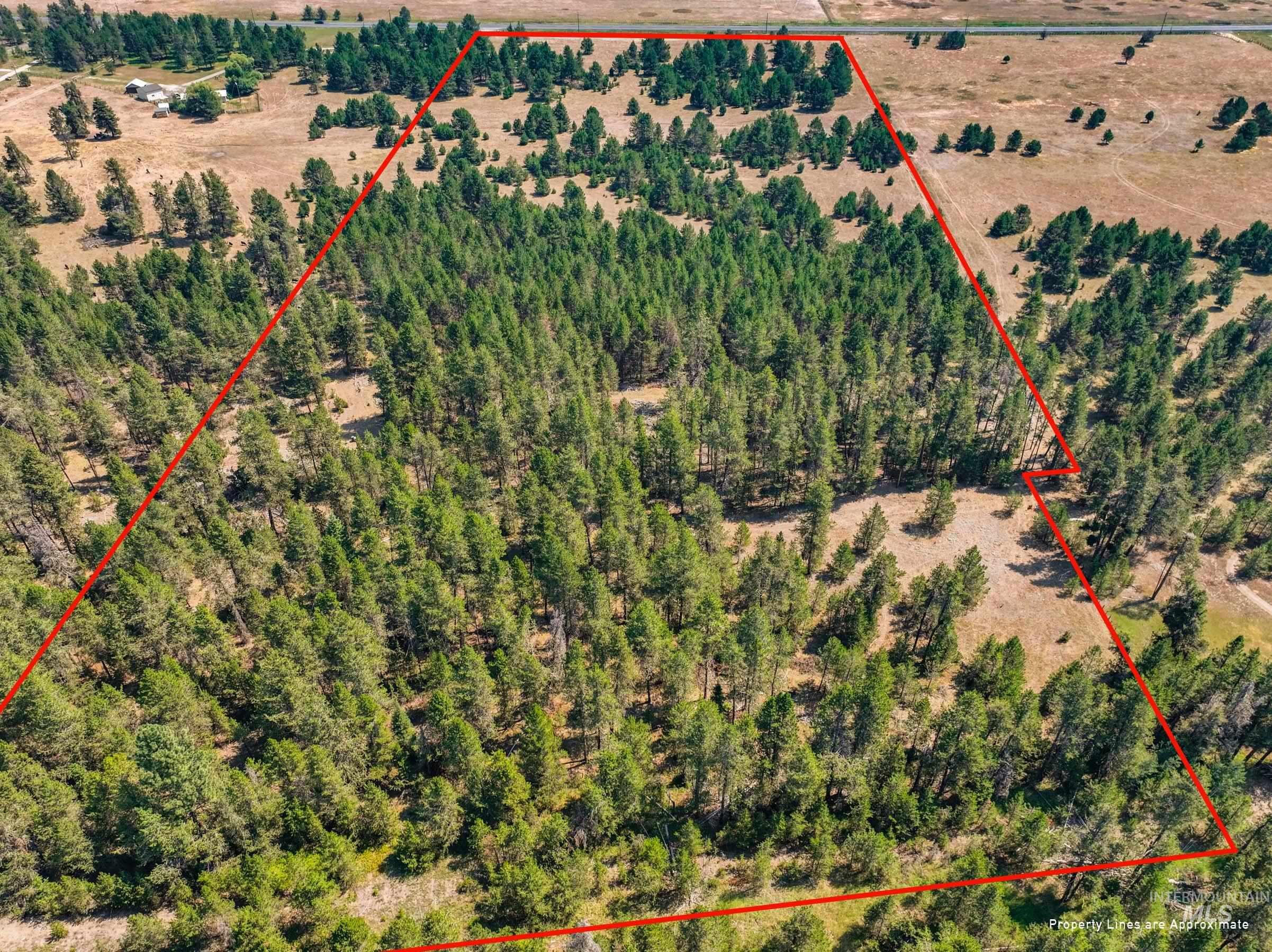 TBD Highway 55, Donnelly, Idaho 83615, Land For Sale, Price $699,000, 99001424