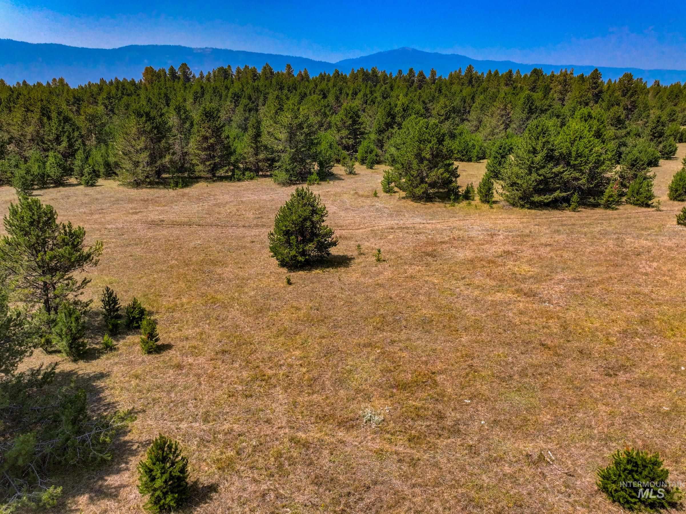 TBD Highway 55, Donnelly, Idaho 83615, Land For Sale, Price $699,000, 99001424