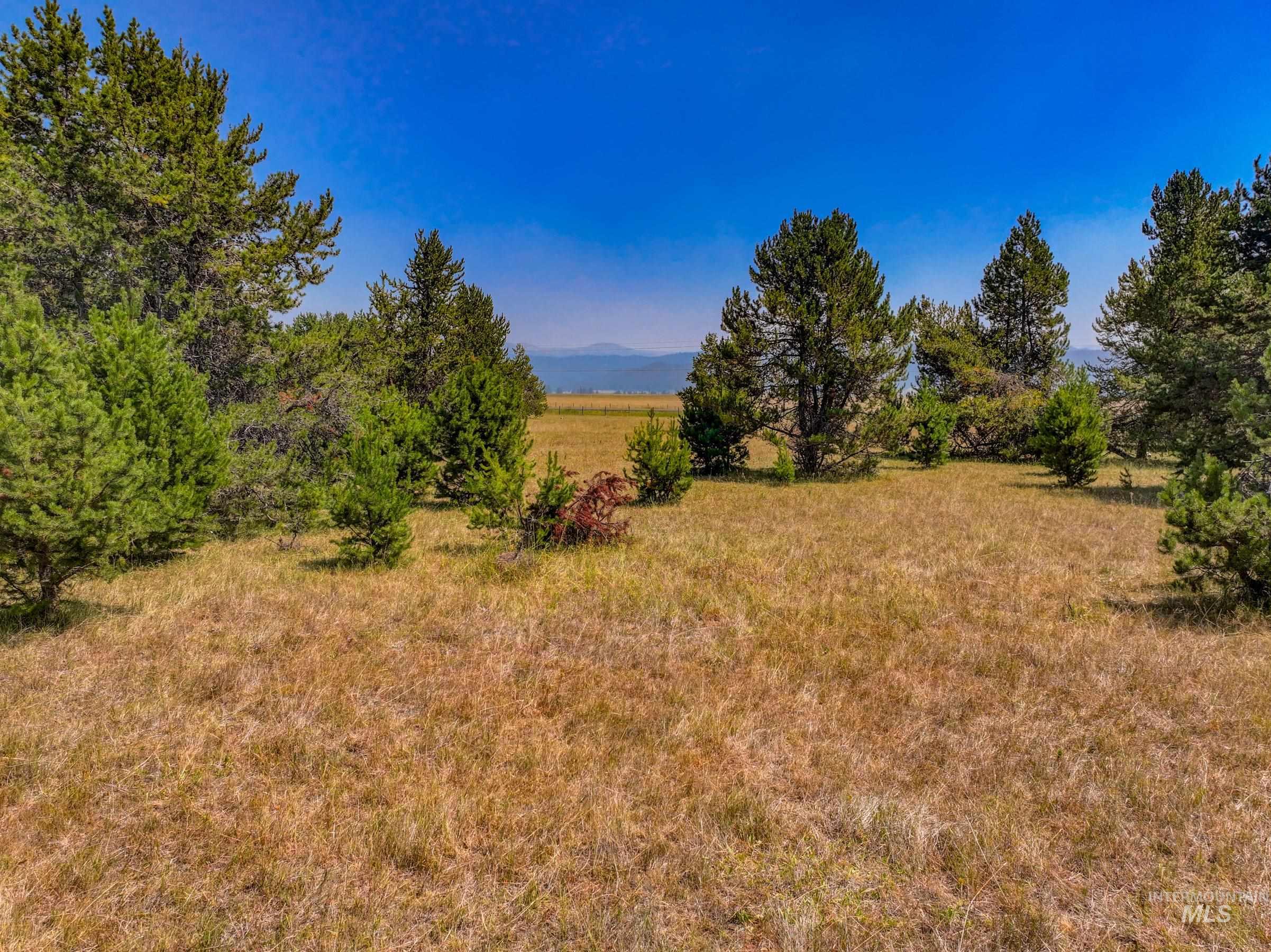 TBD Highway 55, Donnelly, Idaho 83615, Land For Sale, Price $699,000, 99001424