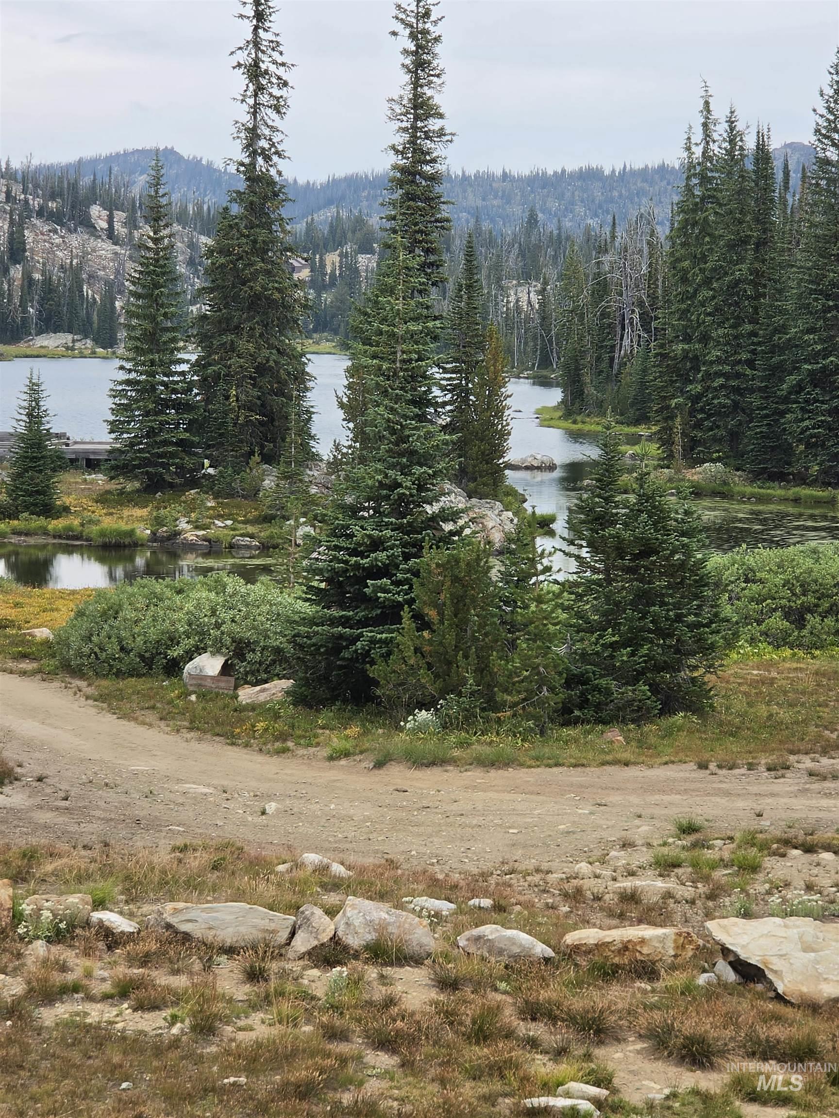 TBD Hump Lake Lot 4, Dixie, Idaho 83525, 1 Bedroom, 1 Bathroom, Residential For Sale, Price $350,000,MLS 99001503
