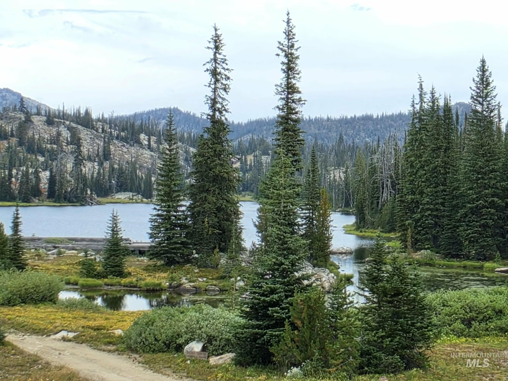 TBD Hump Lake Lot 4, Dixie, Idaho 83525, 1 Bedroom, 1 Bathroom, Residential For Sale, Price $350,000, 99001503