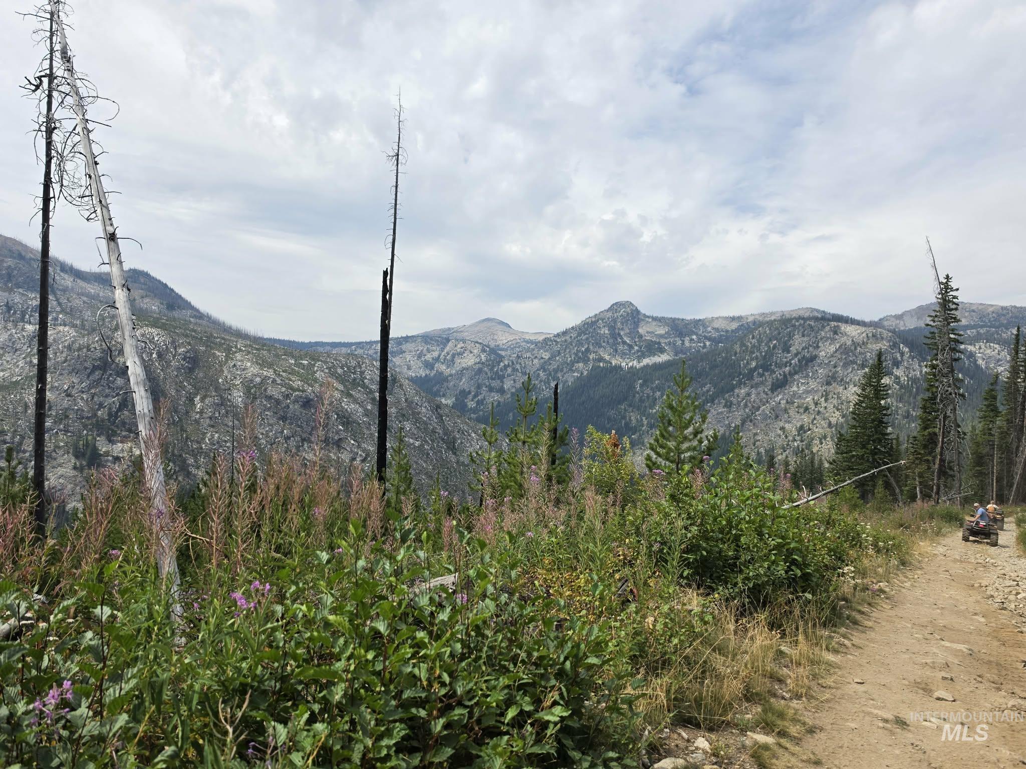 TBD Hump Lake Lot 4, Dixie, Idaho 83525, 1 Bedroom, 1 Bathroom, Residential For Sale, Price $350,000, 99001503