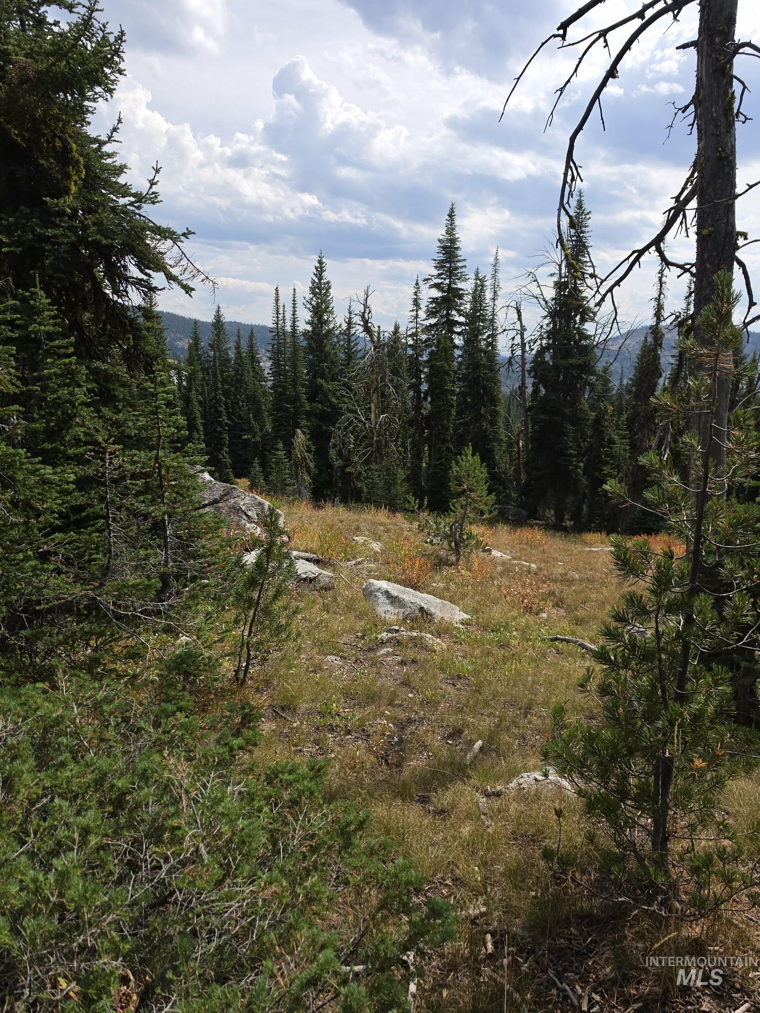 TBD Hump Lake Lot 2, Dixie, Idaho 83525, Land For Sale, Price $200,000,MLS 99001508