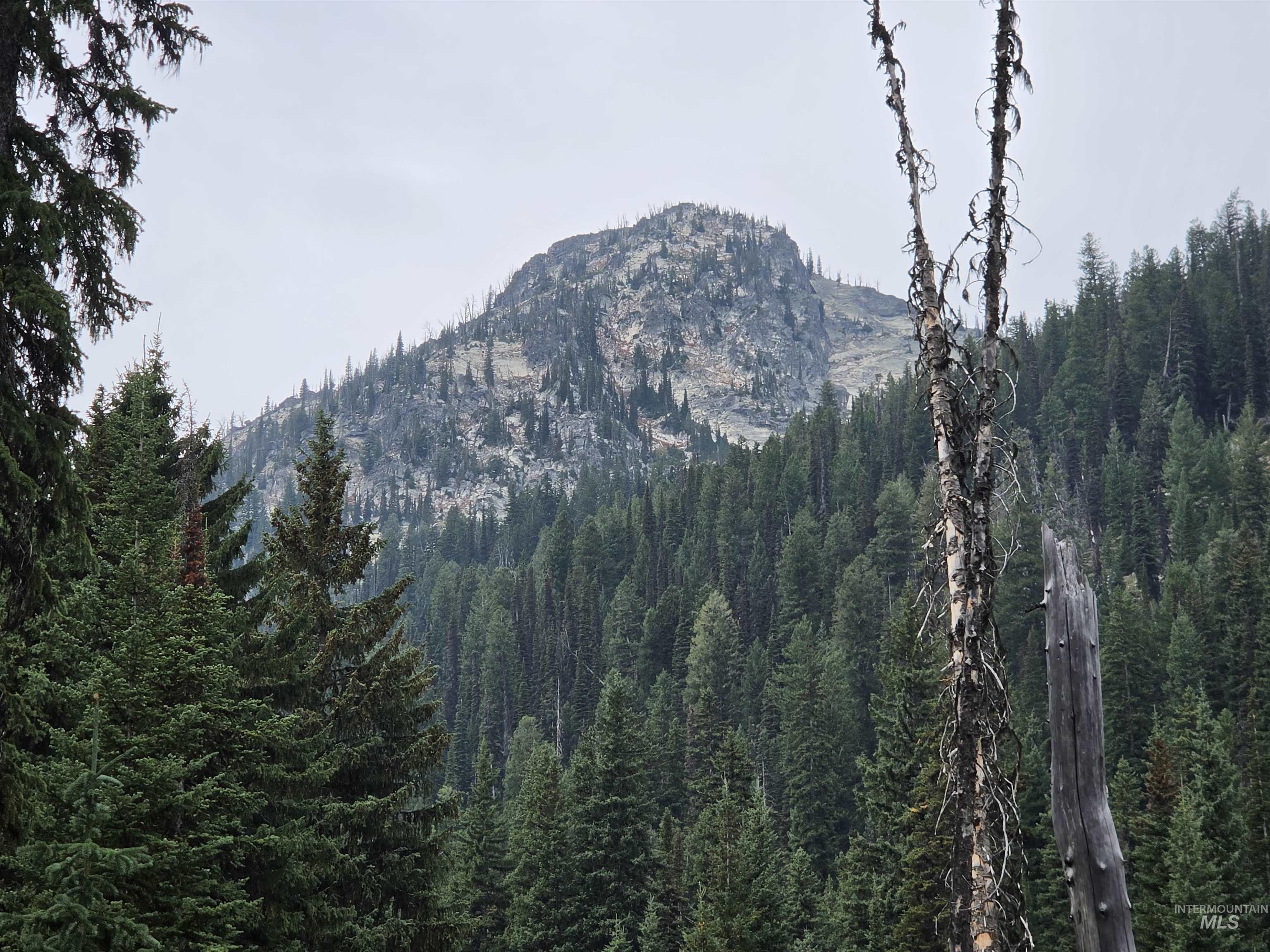 TBD Hump Lake Lot 2, Dixie, Idaho 83525, Land For Sale, Price $200,000,MLS 99001508