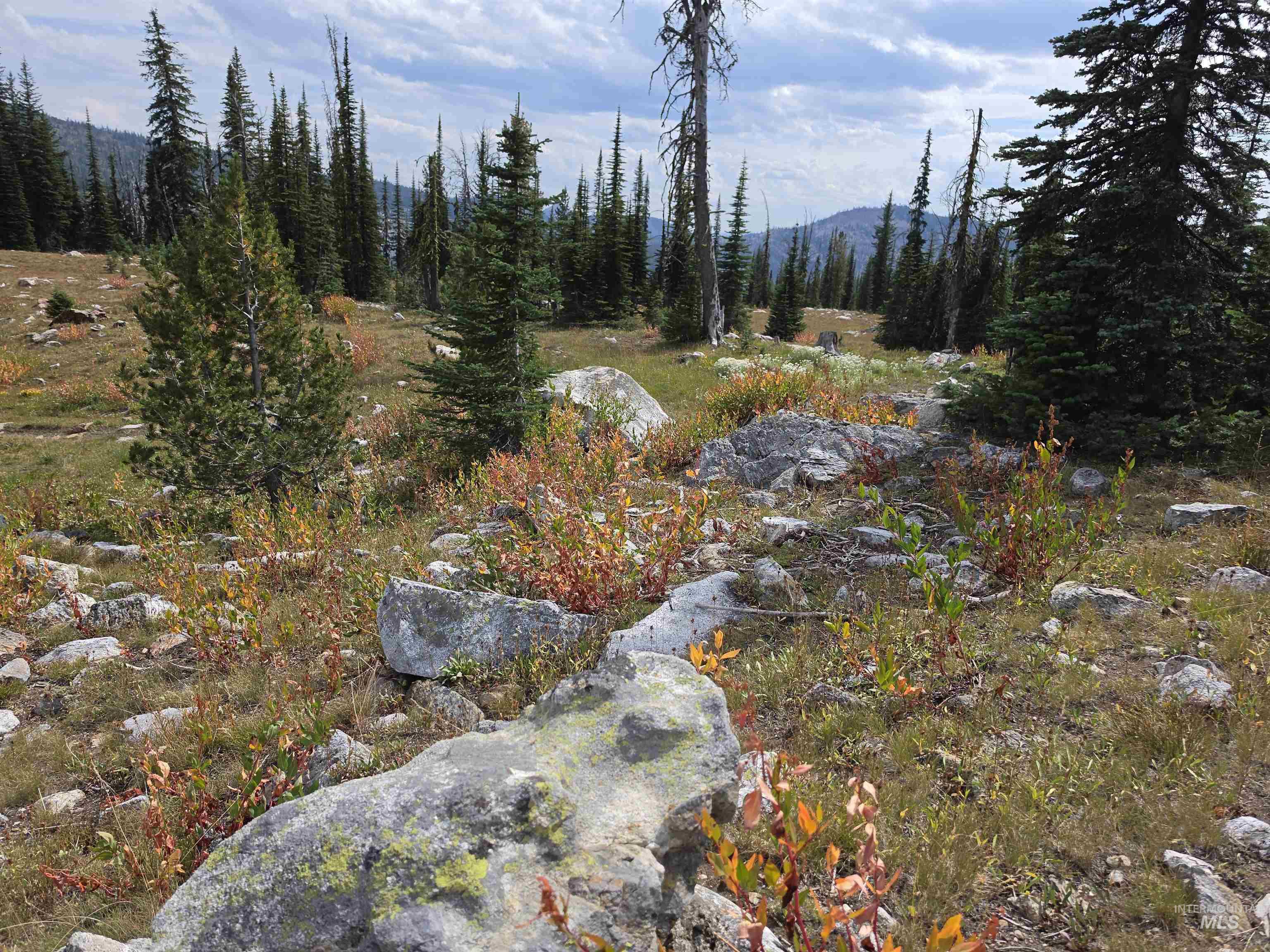 TBD Hump Lake Lot 2, Dixie, Idaho 83525, Land For Sale, Price $200,000,MLS 99001508
