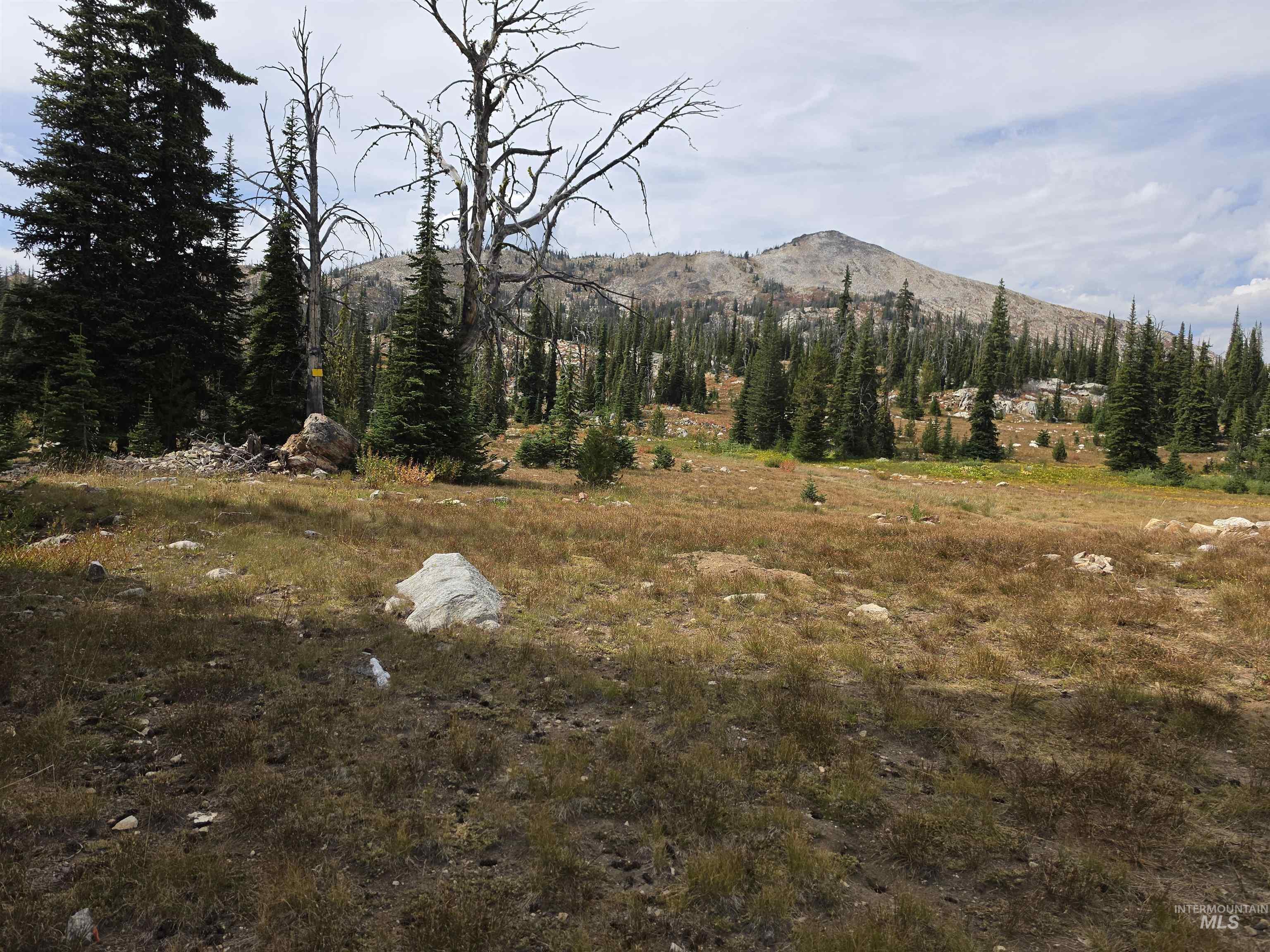 TBD Hump Lake Lot 2, Dixie, Idaho 83525, Land For Sale, Price $200,000,MLS 99001508