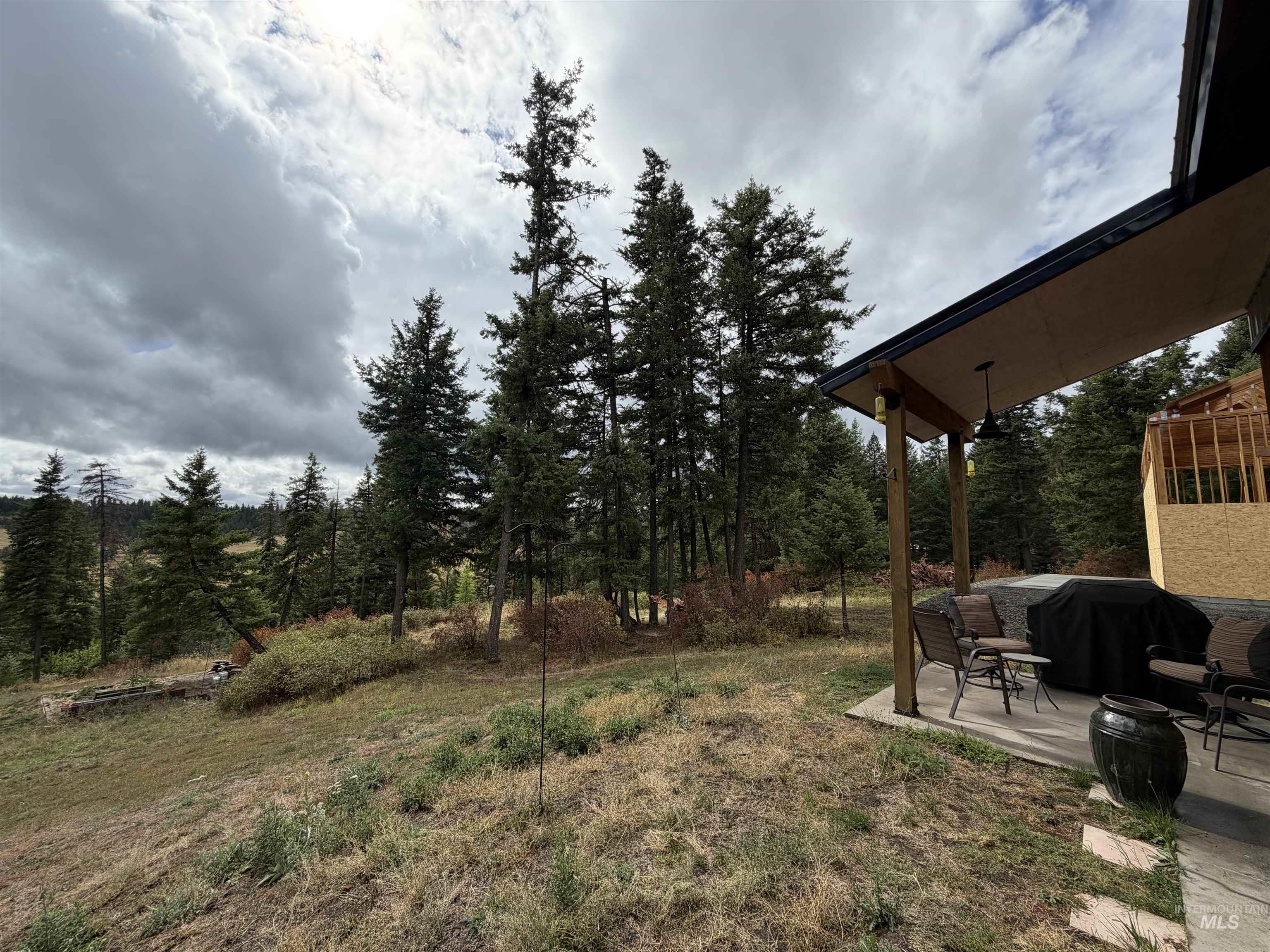 1004 Forest Lane, Princeton, Idaho 83857, 1 Bedroom, 1 Bathroom, Residential For Sale, Price $495,000,MLS 99001510