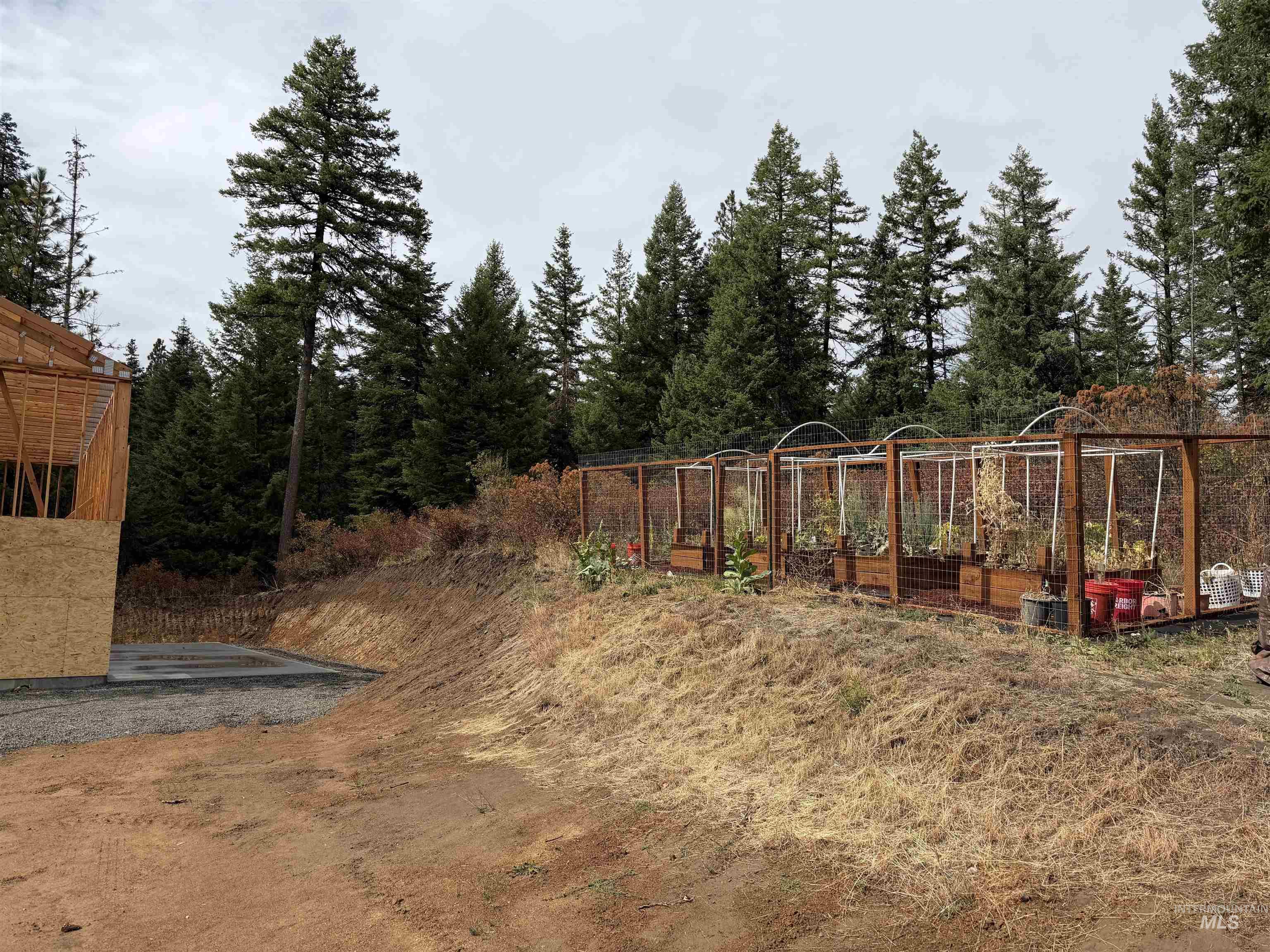 1004 Forest Lane, Princeton, Idaho 83857, 1 Bedroom, 1 Bathroom, Residential For Sale, Price $495,000,MLS 99001510