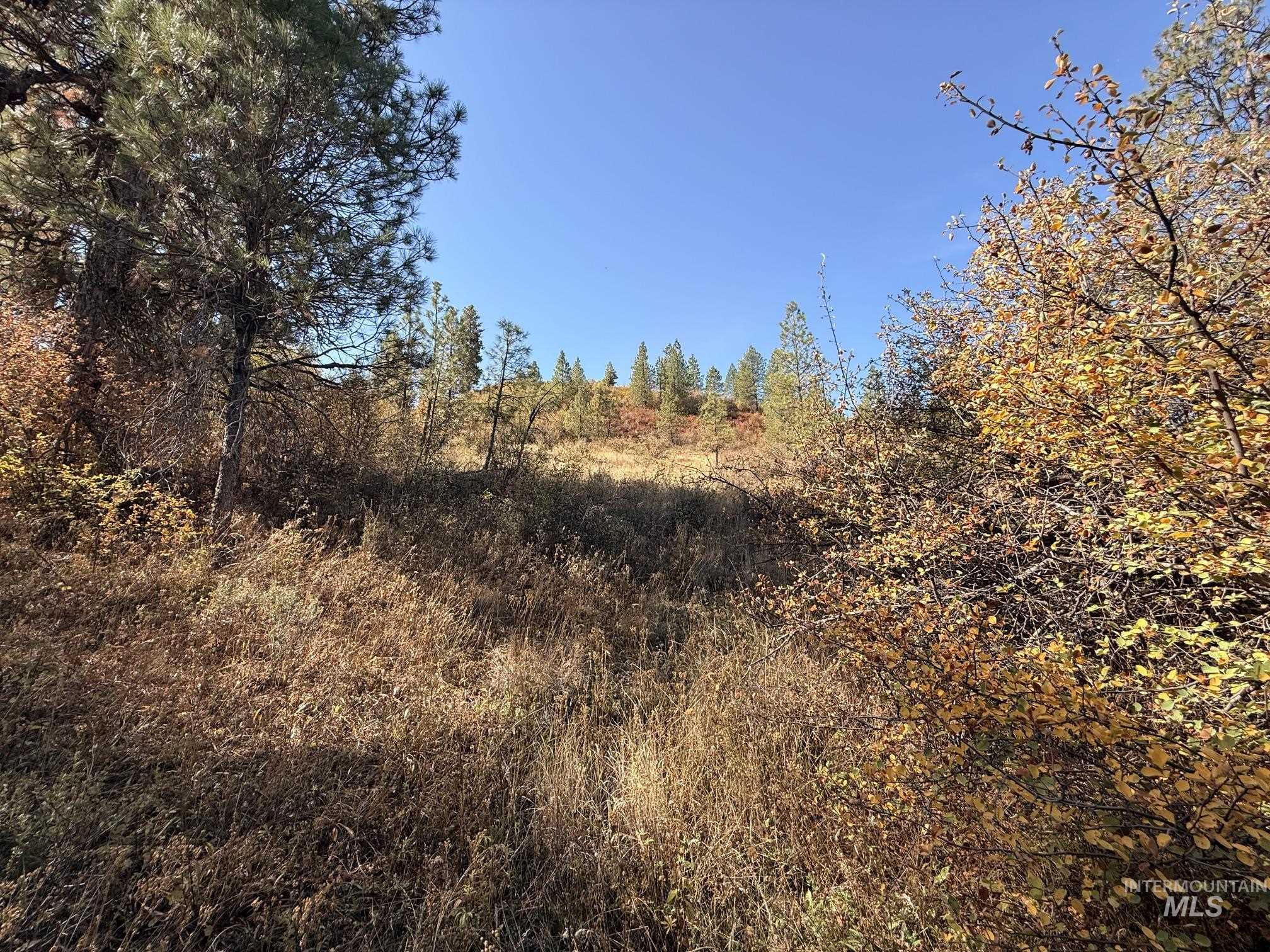 TBD Lot 5 and 6 Nesbitts' Emerald Glen, Ola, Idaho 83657, Land For Sale, Price $135,000,MLS 99001627