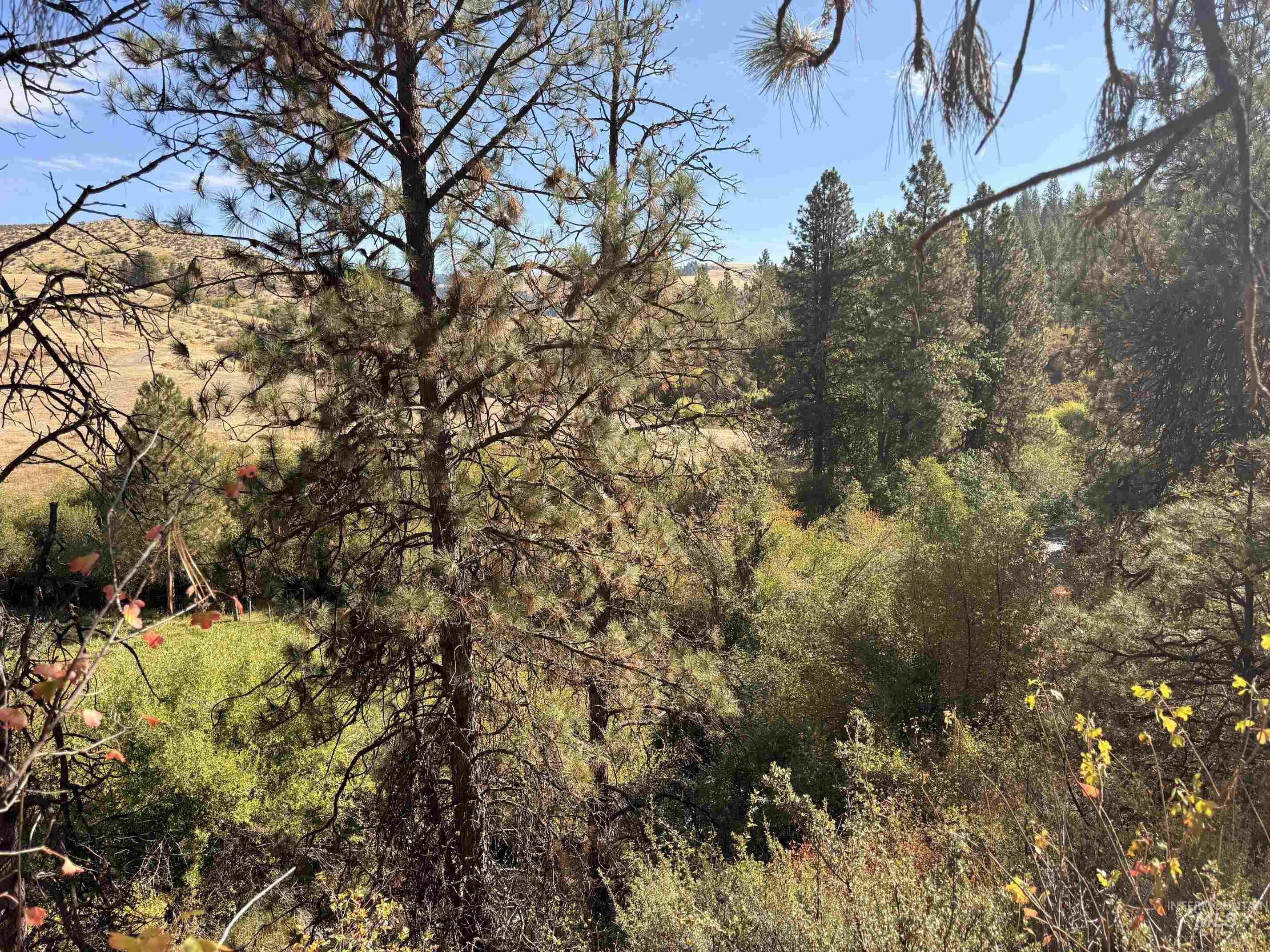 TBD Lot 5 and 6 Nesbitts' Emerald Glen, Ola, Idaho 83657, Land For Sale, Price $135,000,MLS 99001627