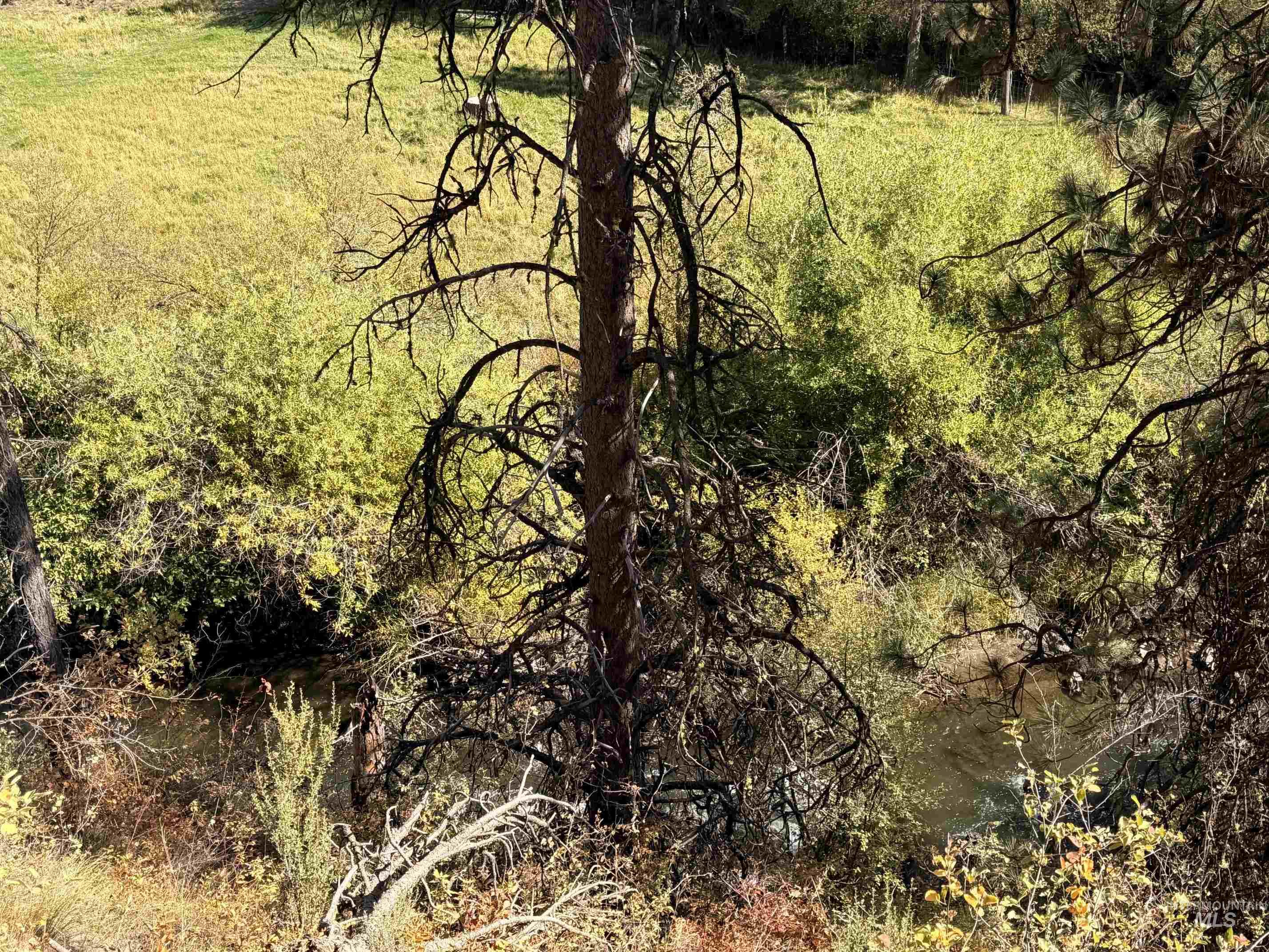 TBD Lot 5 and 6 Nesbitts' Emerald Glen, Ola, Idaho 83657, Land For Sale, Price $135,000,MLS 99001627