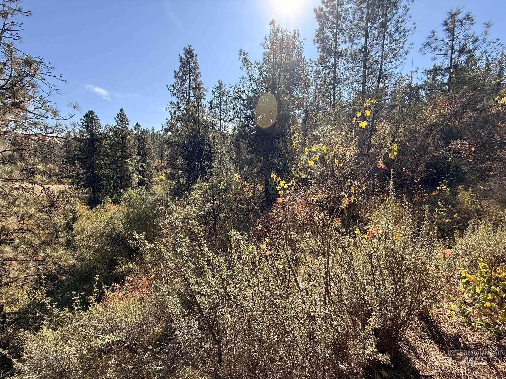 TBD Lot 5 and 6 Nesbitts' Emerald Glen, Ola, Idaho 83657, Land For Sale, Price $135,000,MLS 99001627