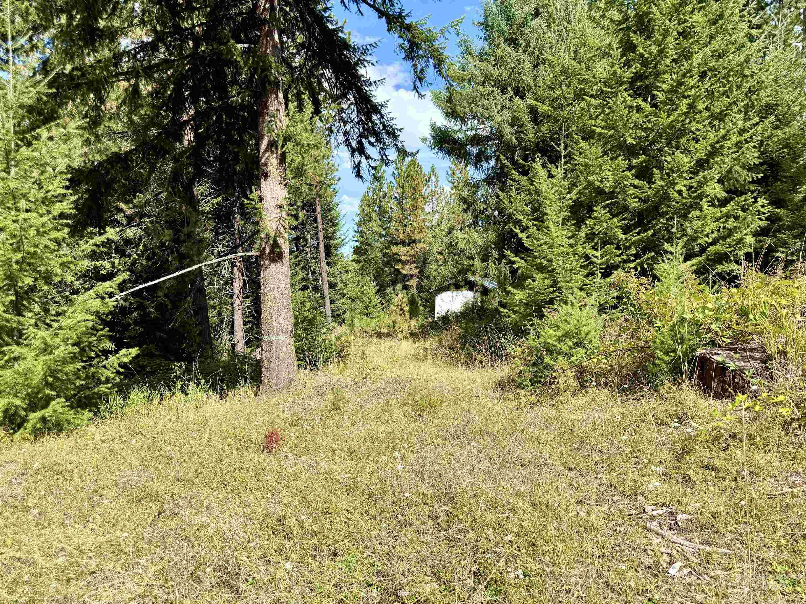 TBD Pine Hollow Lane, Kooskia, Idaho 83539, Land For Sale, Price $128,000,MLS 99001635