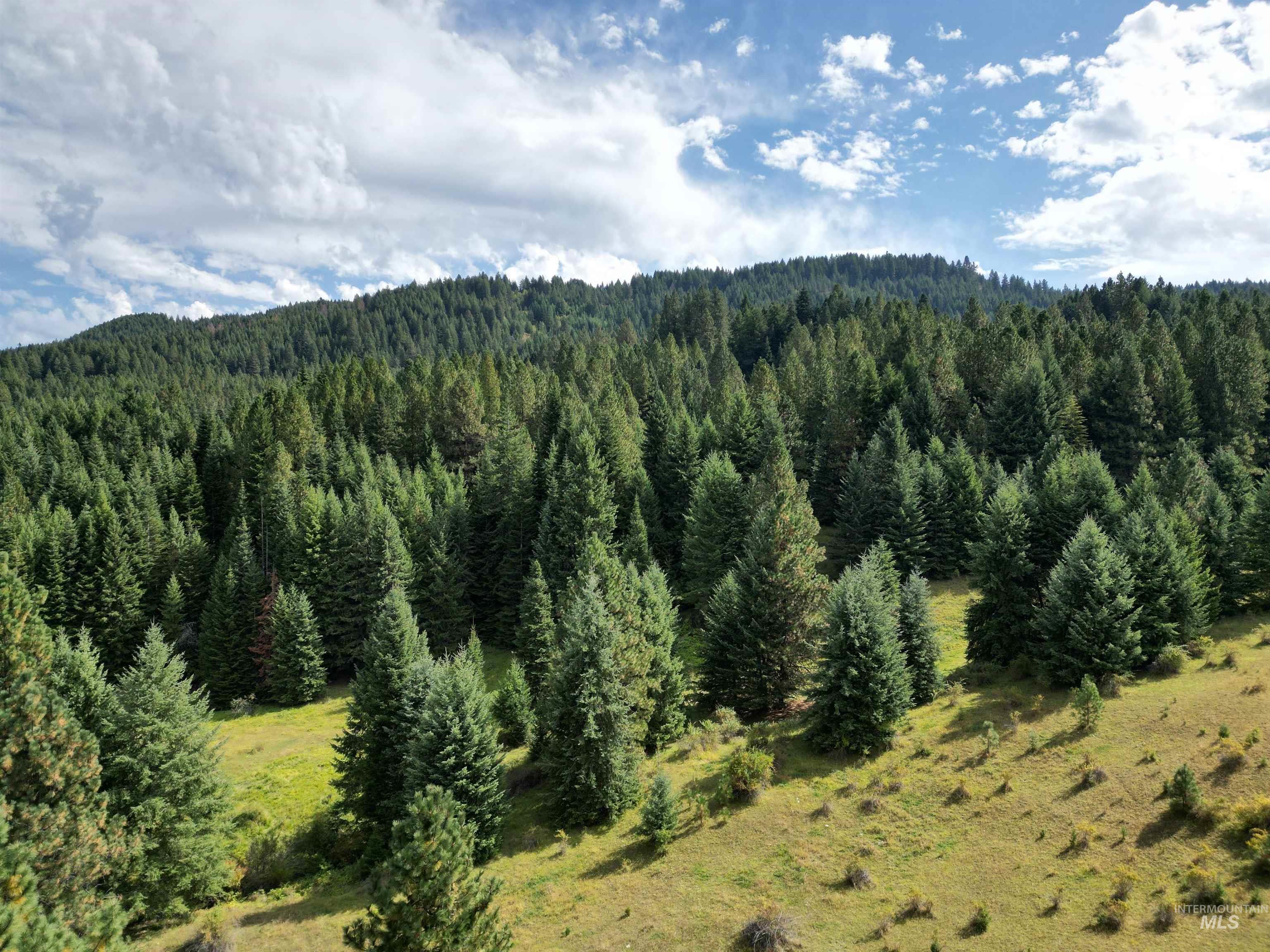 TBD Pine Hollow Lane, Kooskia, Idaho 83539, Land For Sale, Price $128,000,MLS 99001635